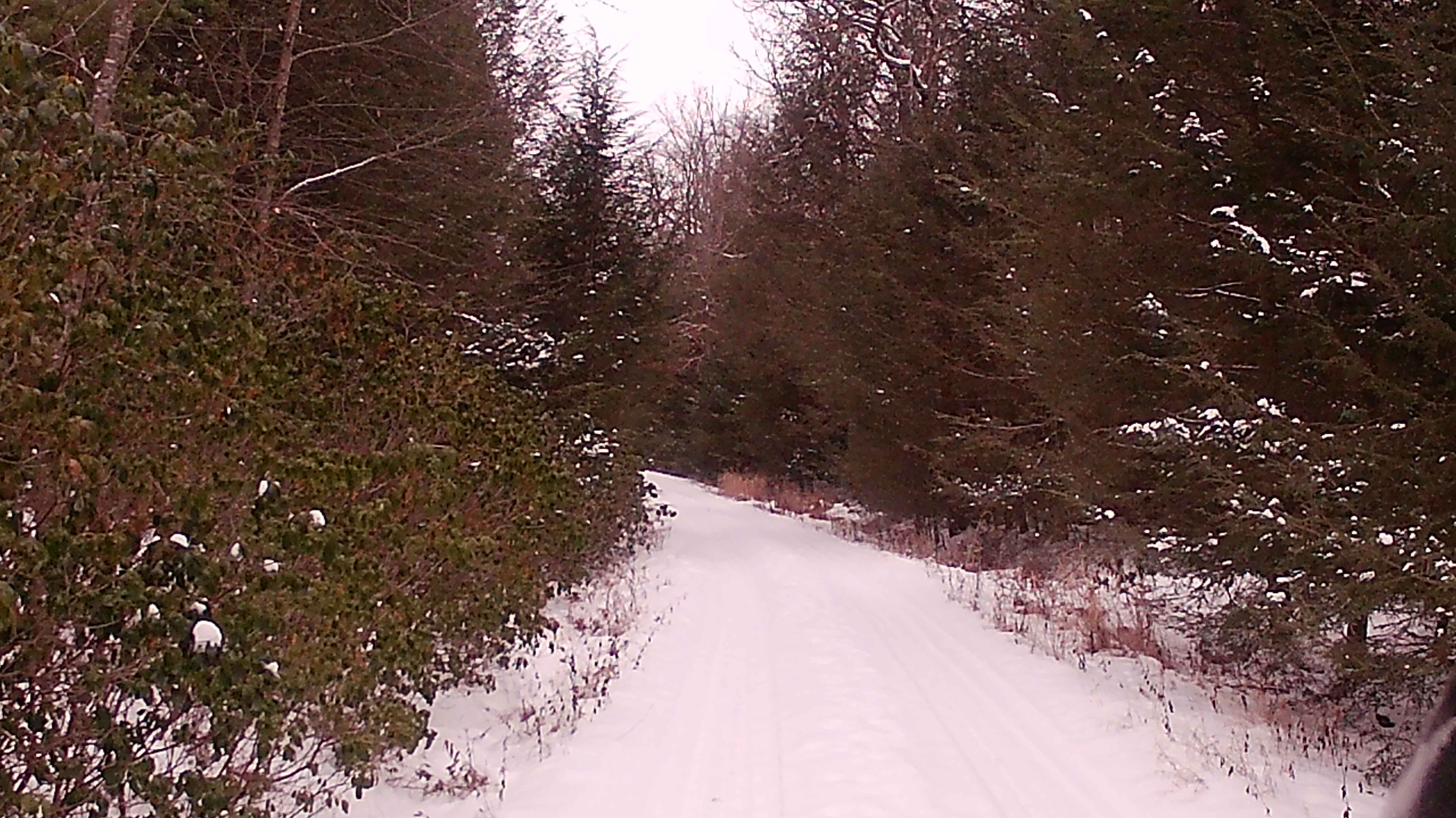 Dad Dad Chapman Road