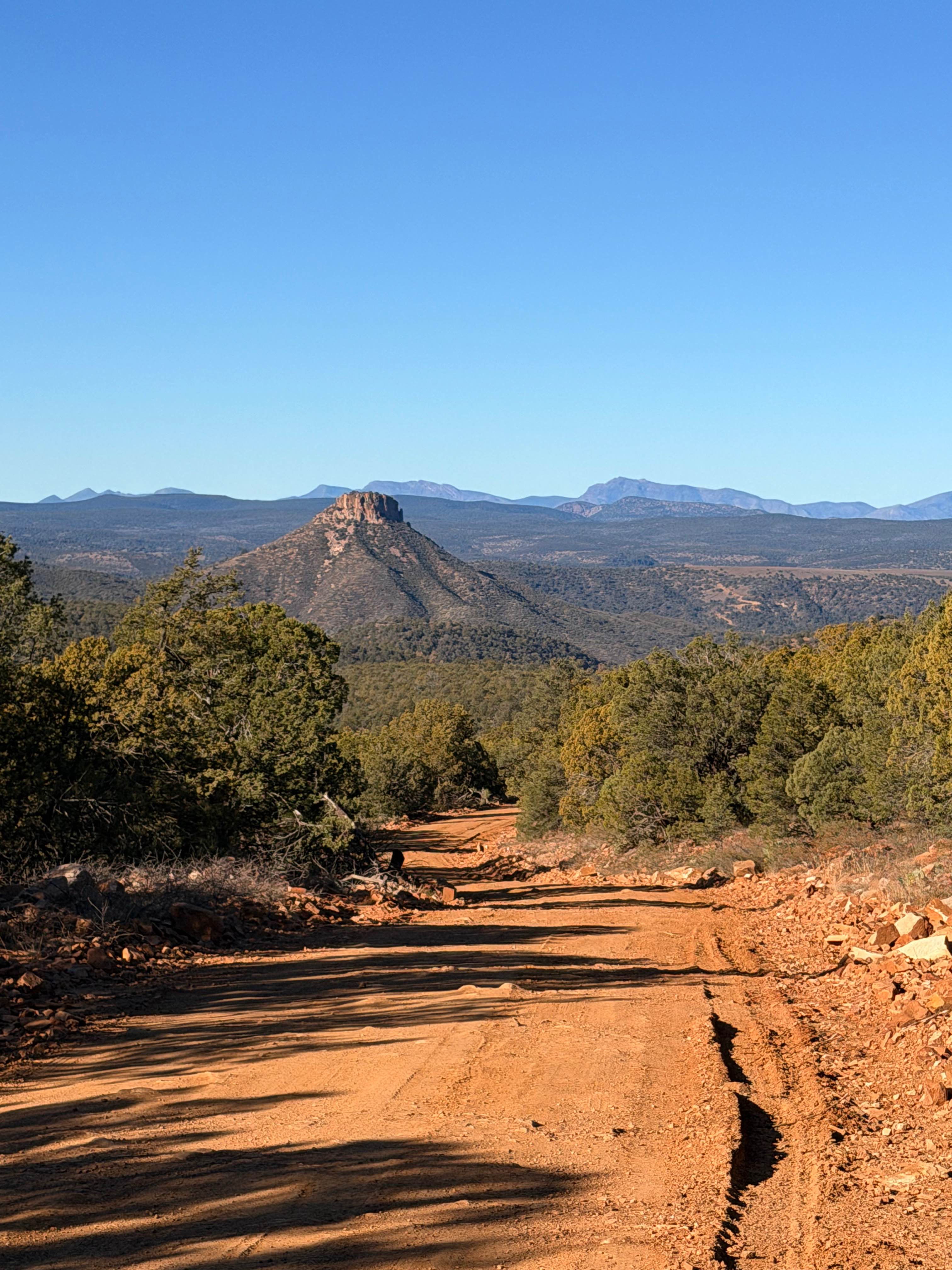Buzzard Roost - FS 486
