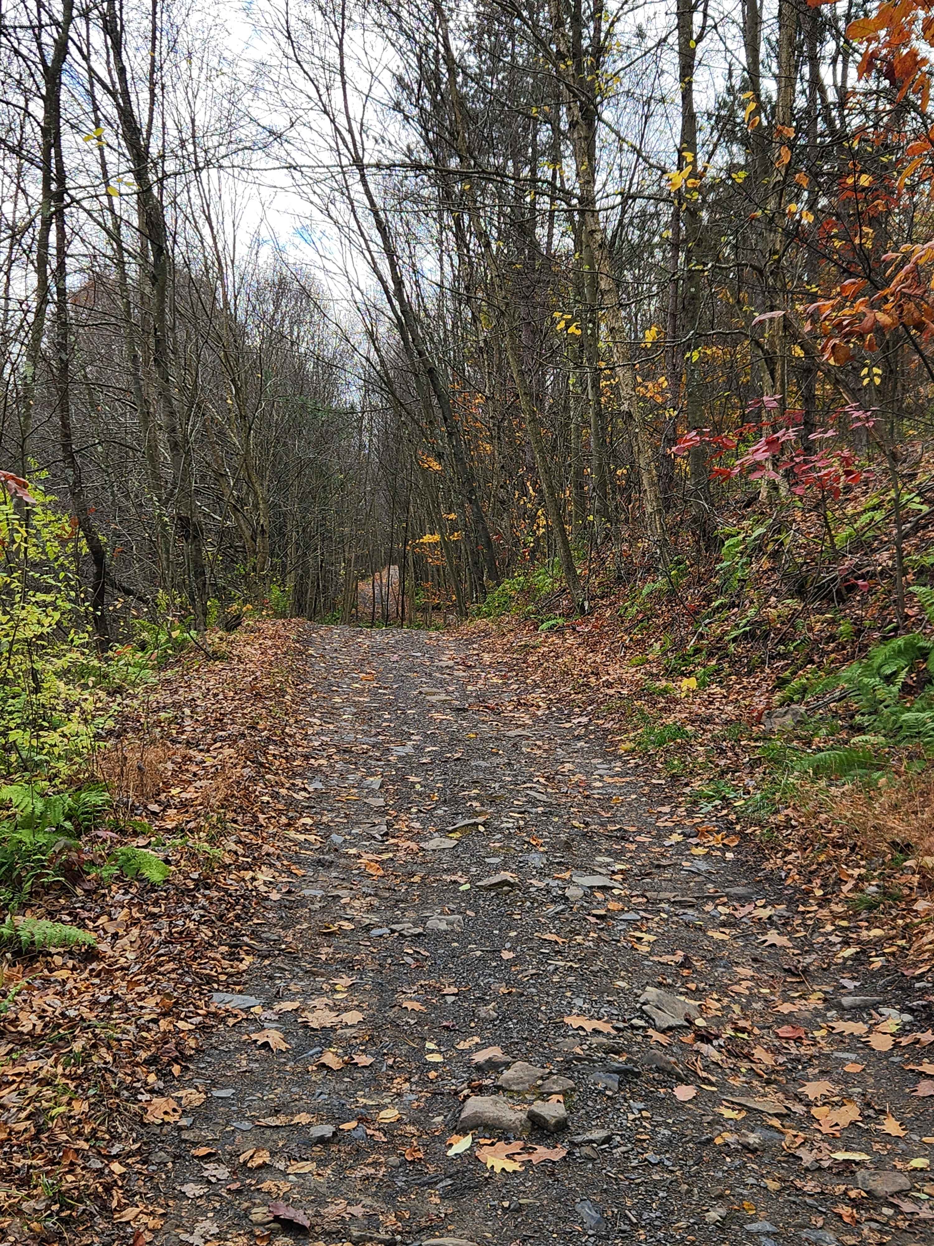 Outer Loop East - Rock Run Recreation Area