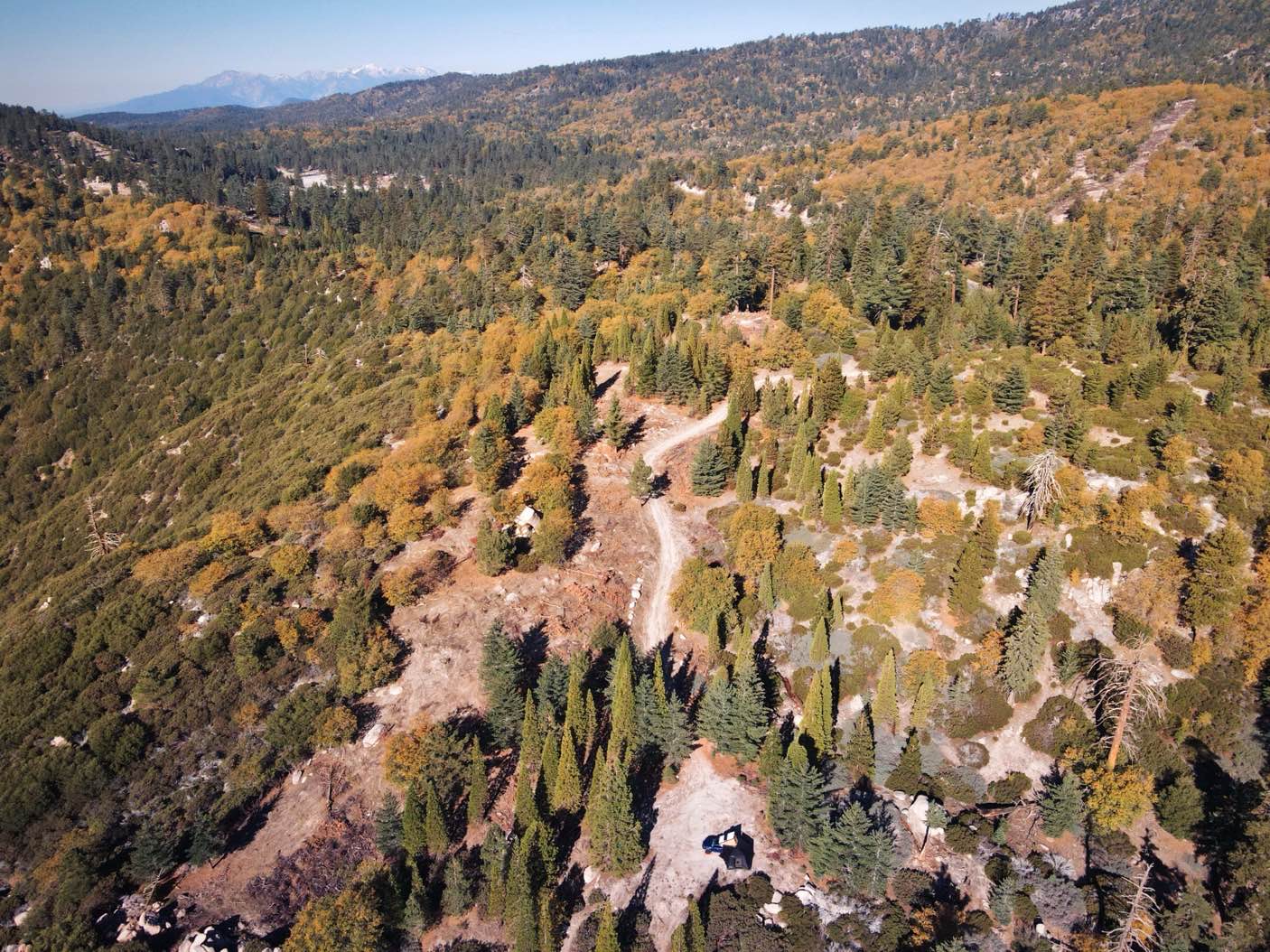 Siberia Creek - FS 2N97