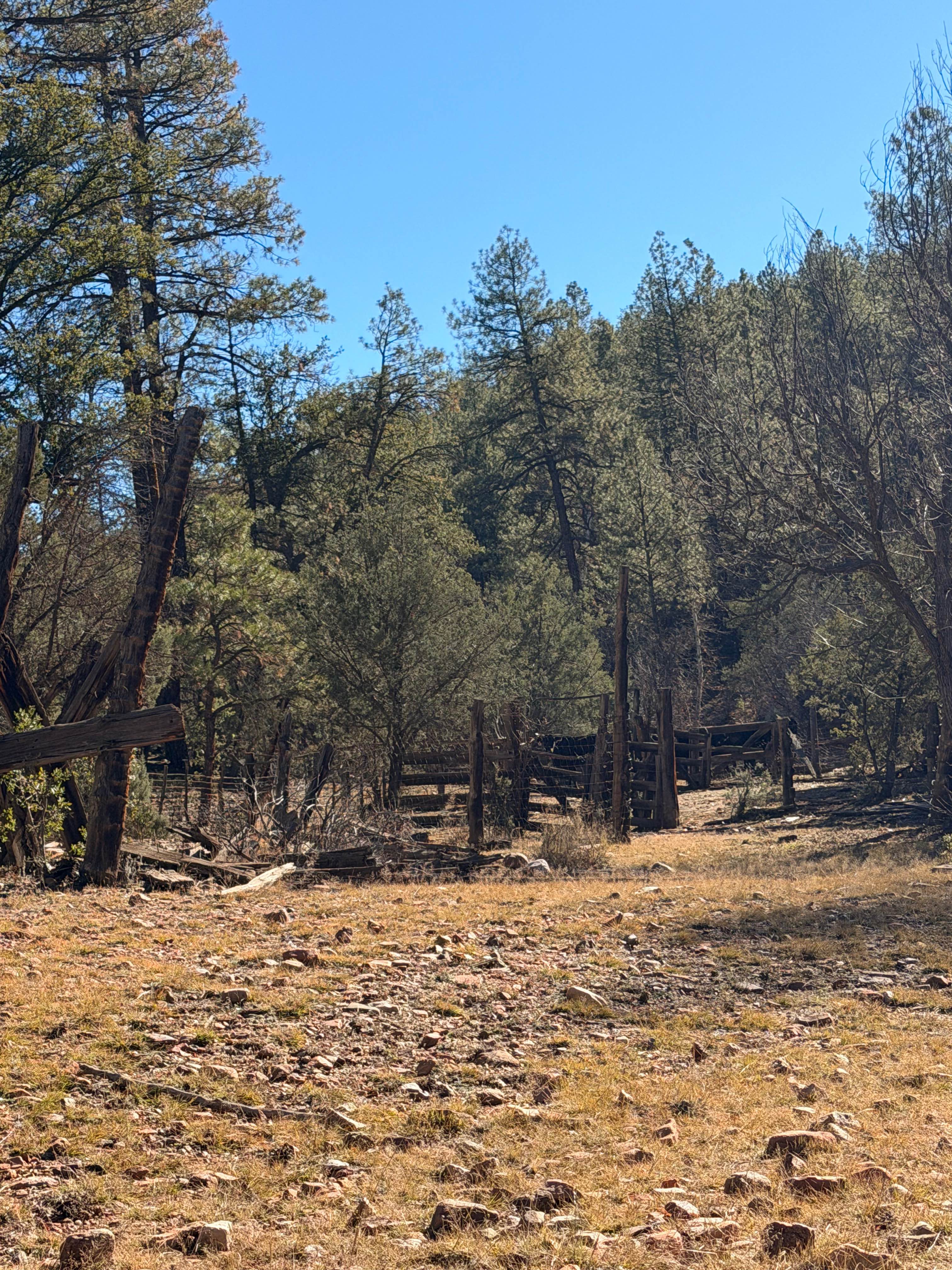 Bear Head Springs Segment - FS 609