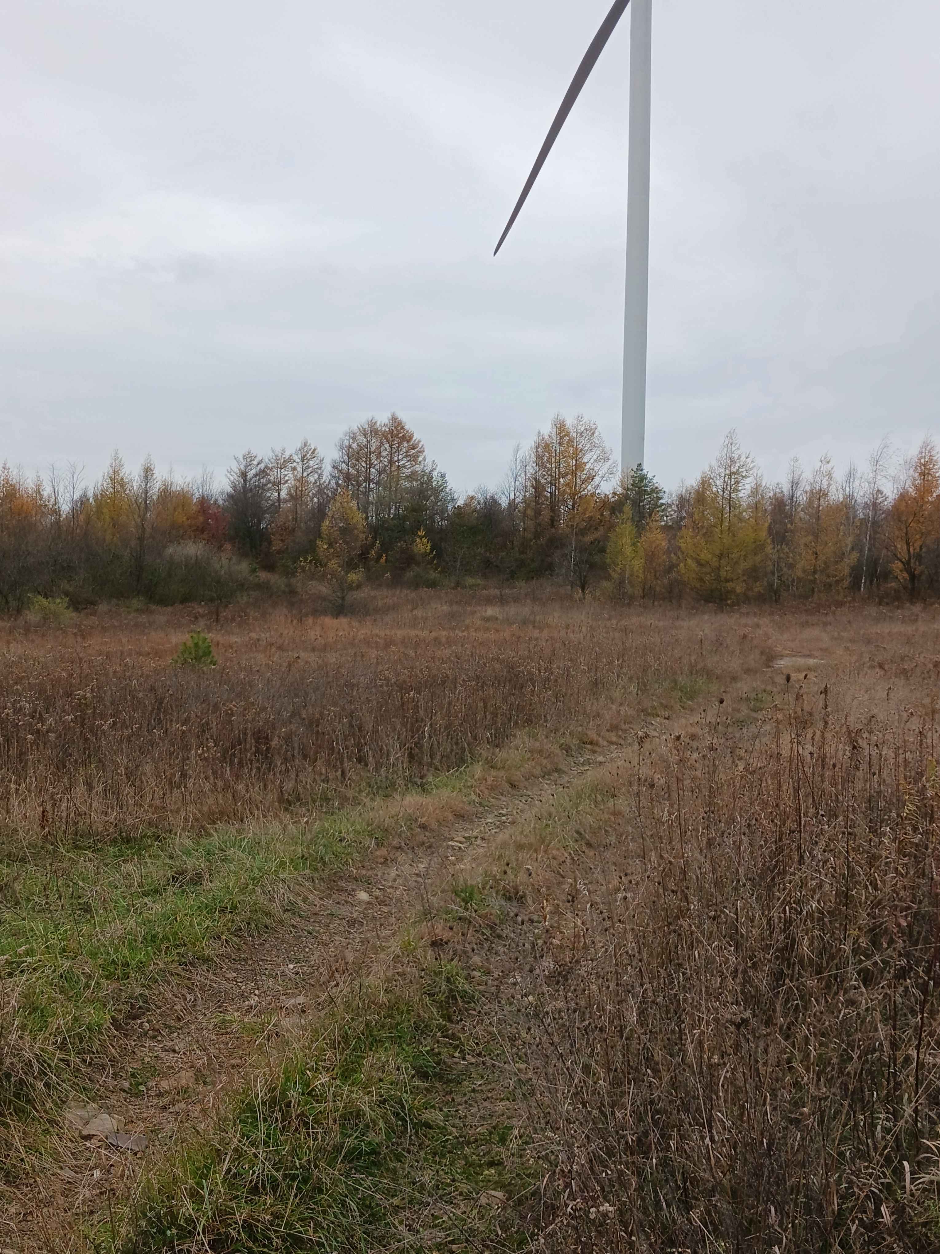 Trail 13B - Rock Run Recreation Area