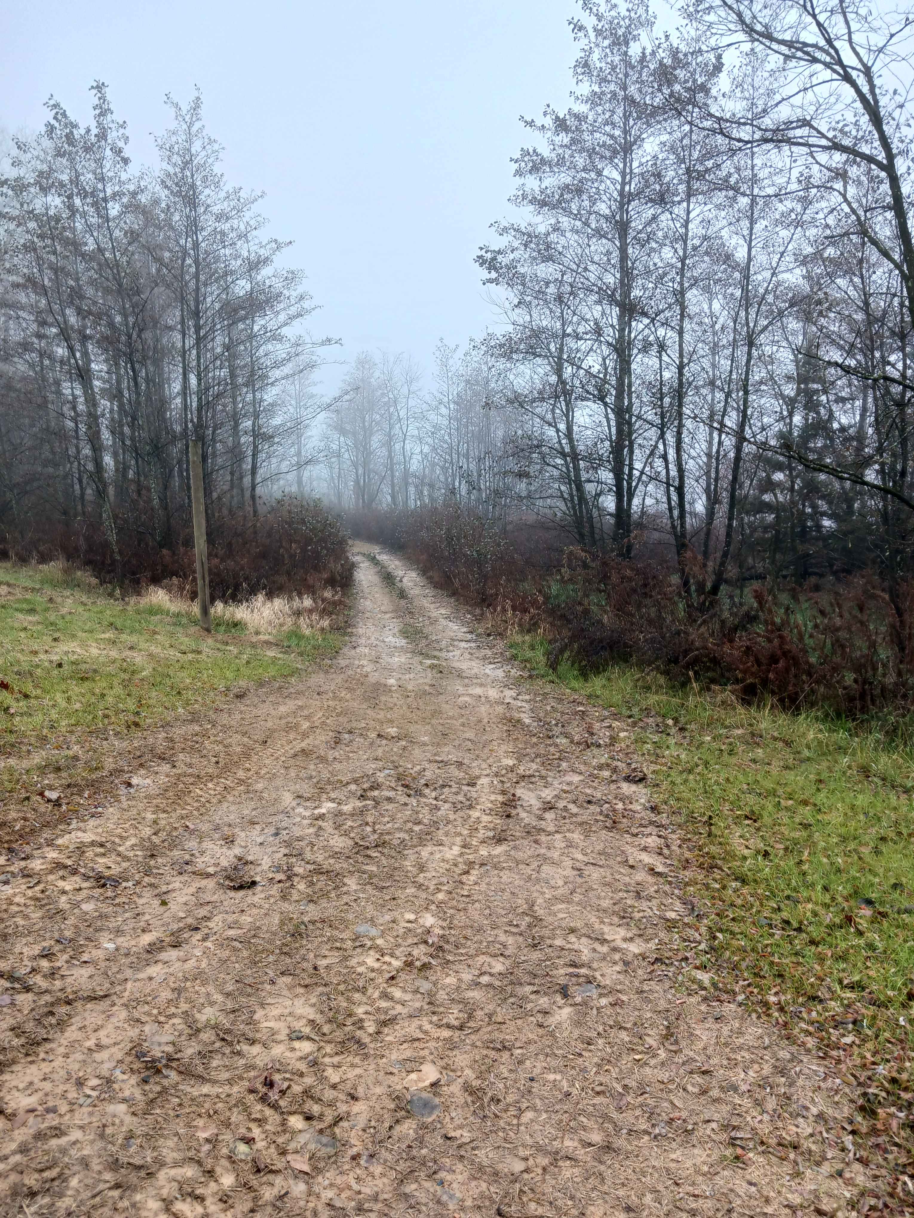 Golden Arch Trail - The OG - Rock Run Recreation Area