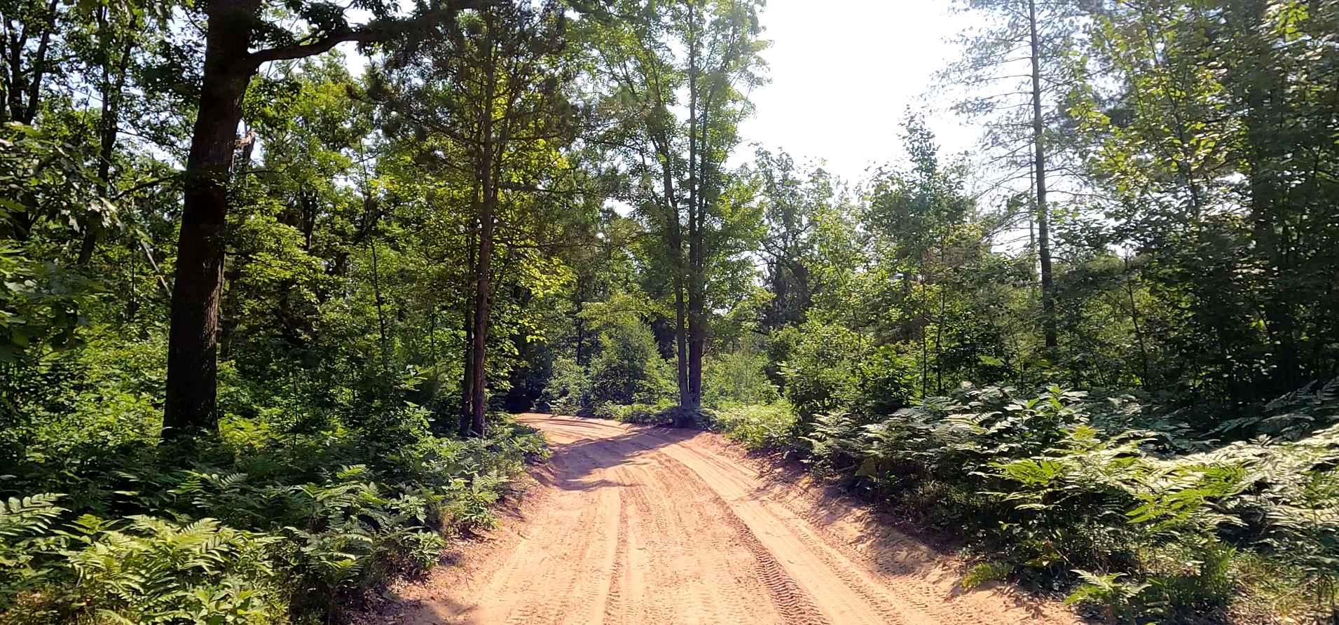 North Missaukee Route & MCCCT Trail/Africa Loop