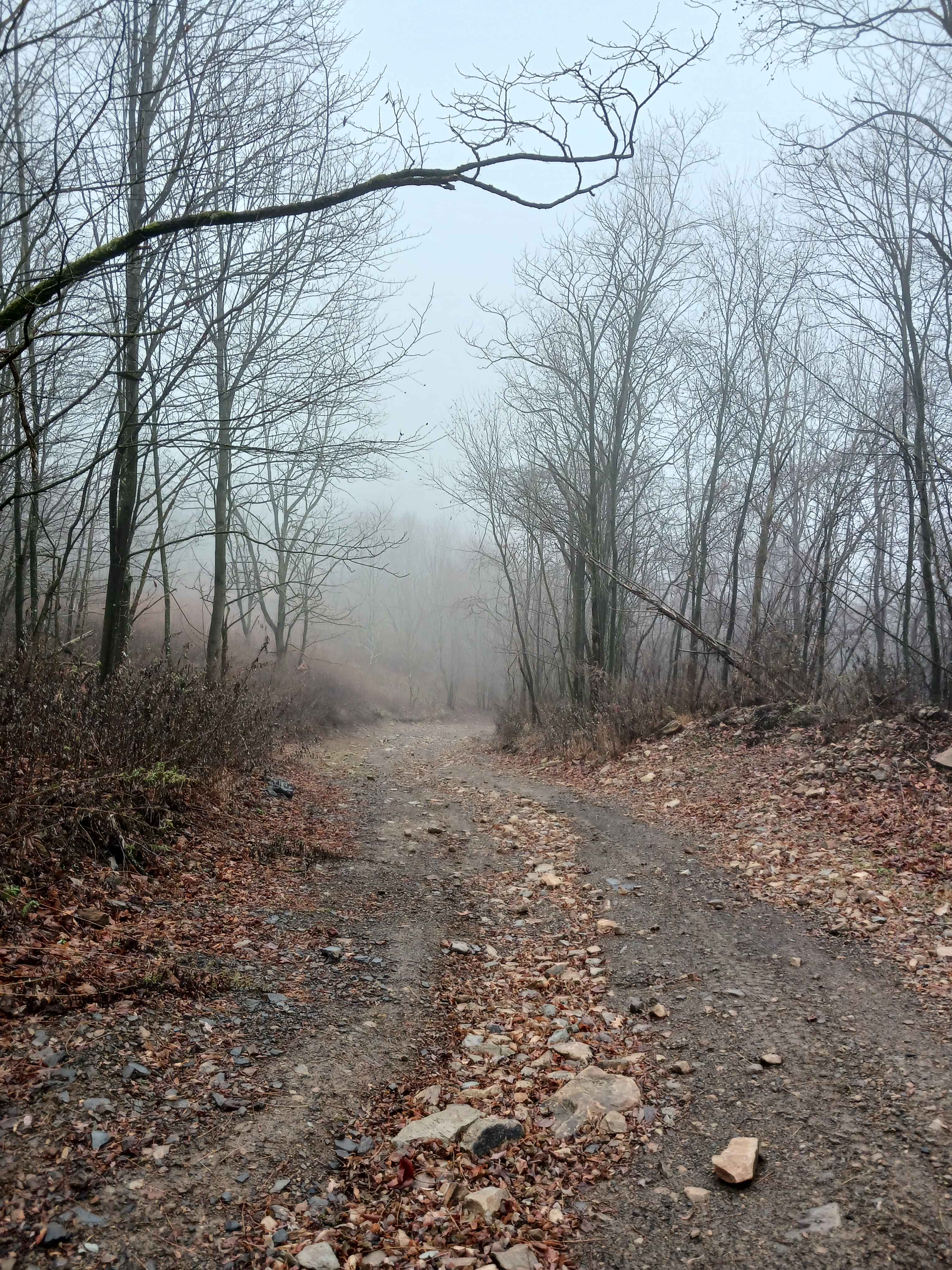 Between Rock - Rock Run Recreation Area