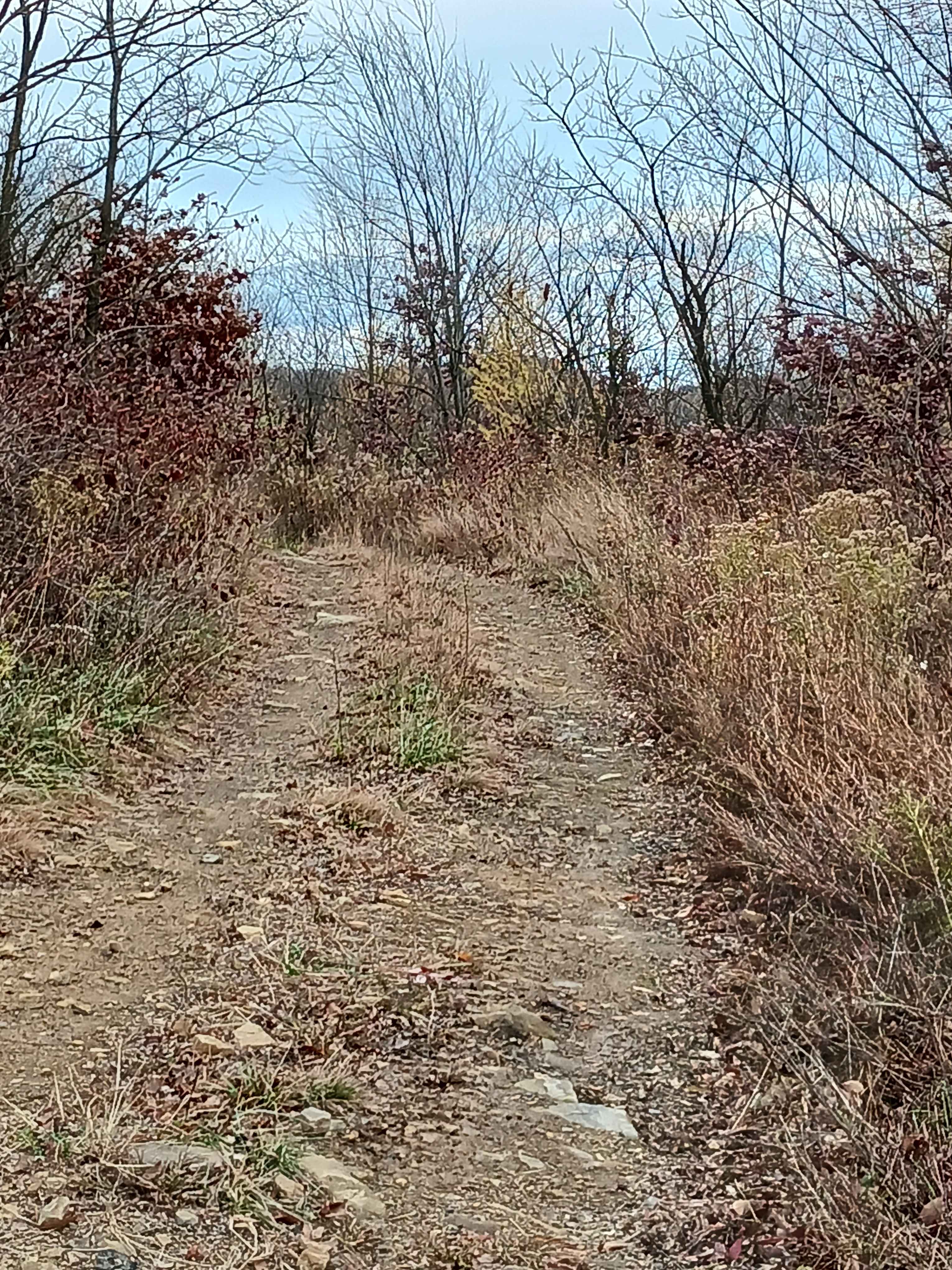 13C2 - Rock Run Recreation Area