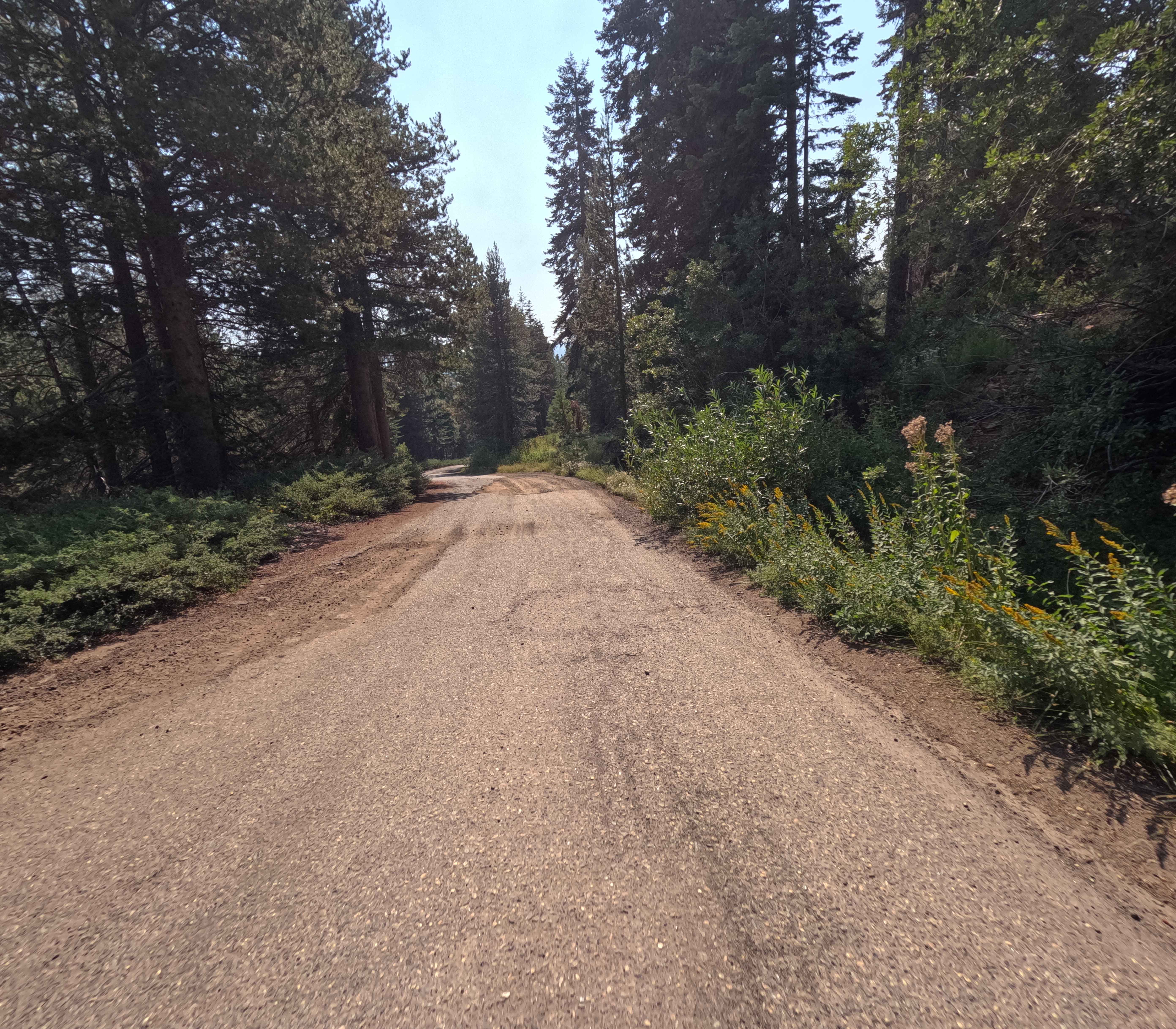 Rock Creek Road - FS 9S090