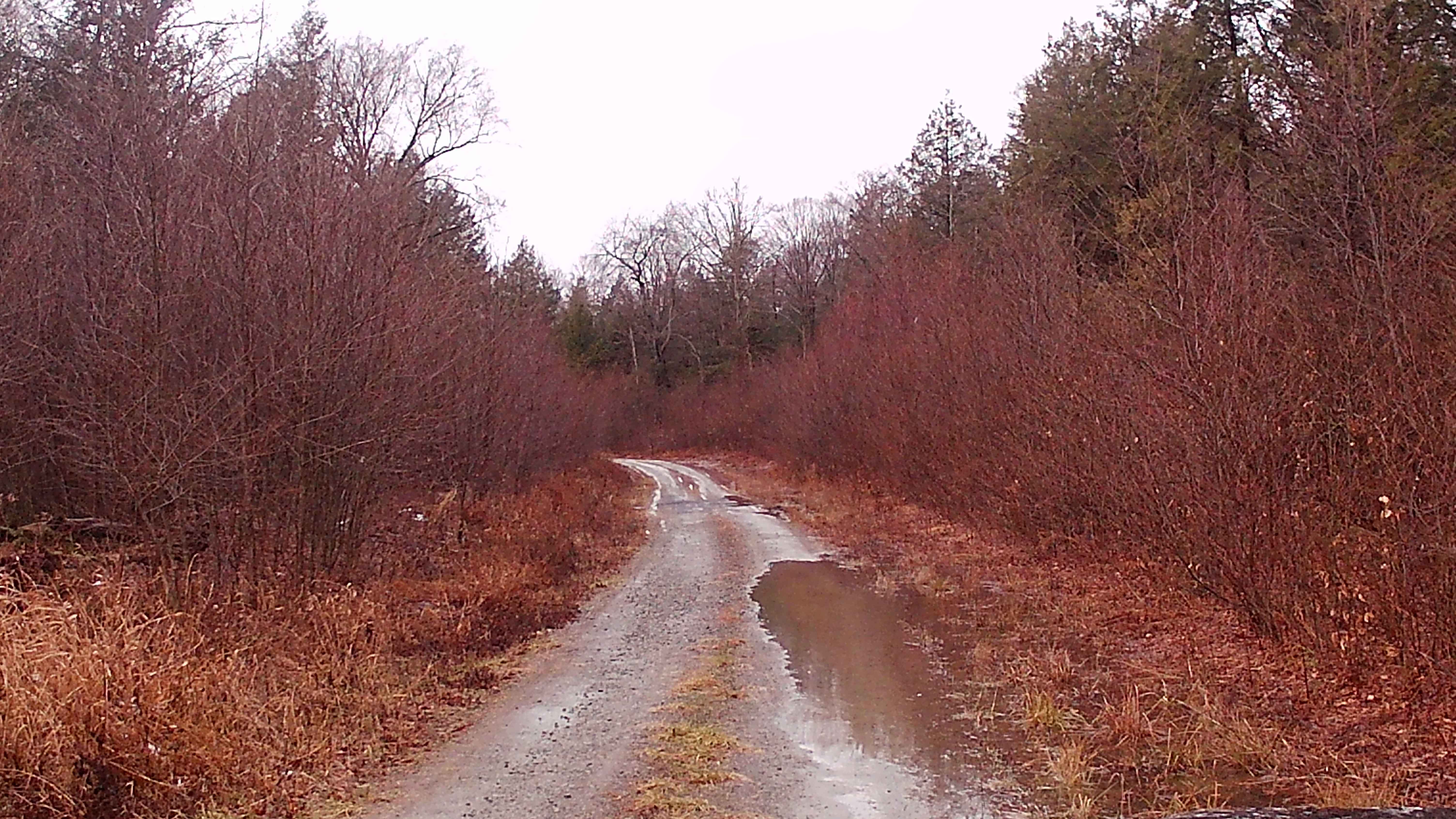 West Huckle Run Road