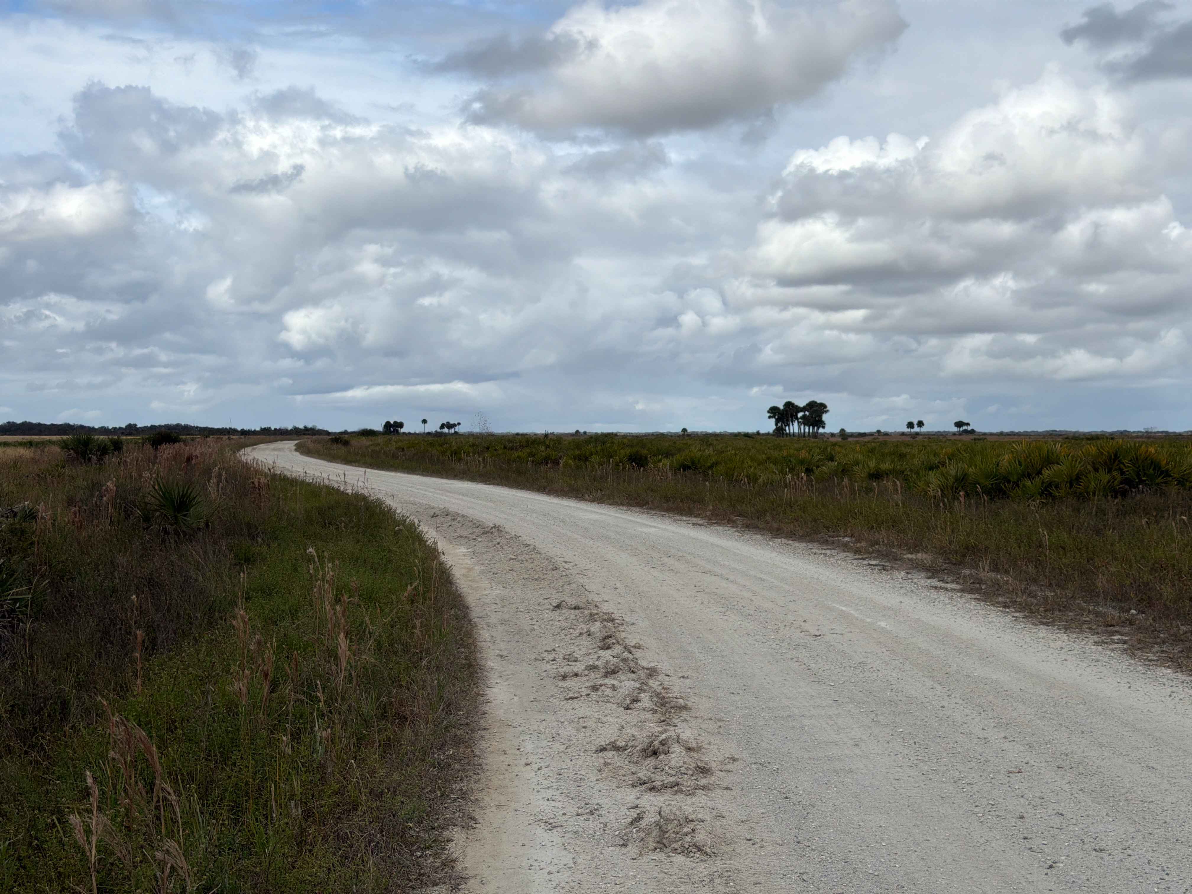 Road 10 - Three Lakes WMA