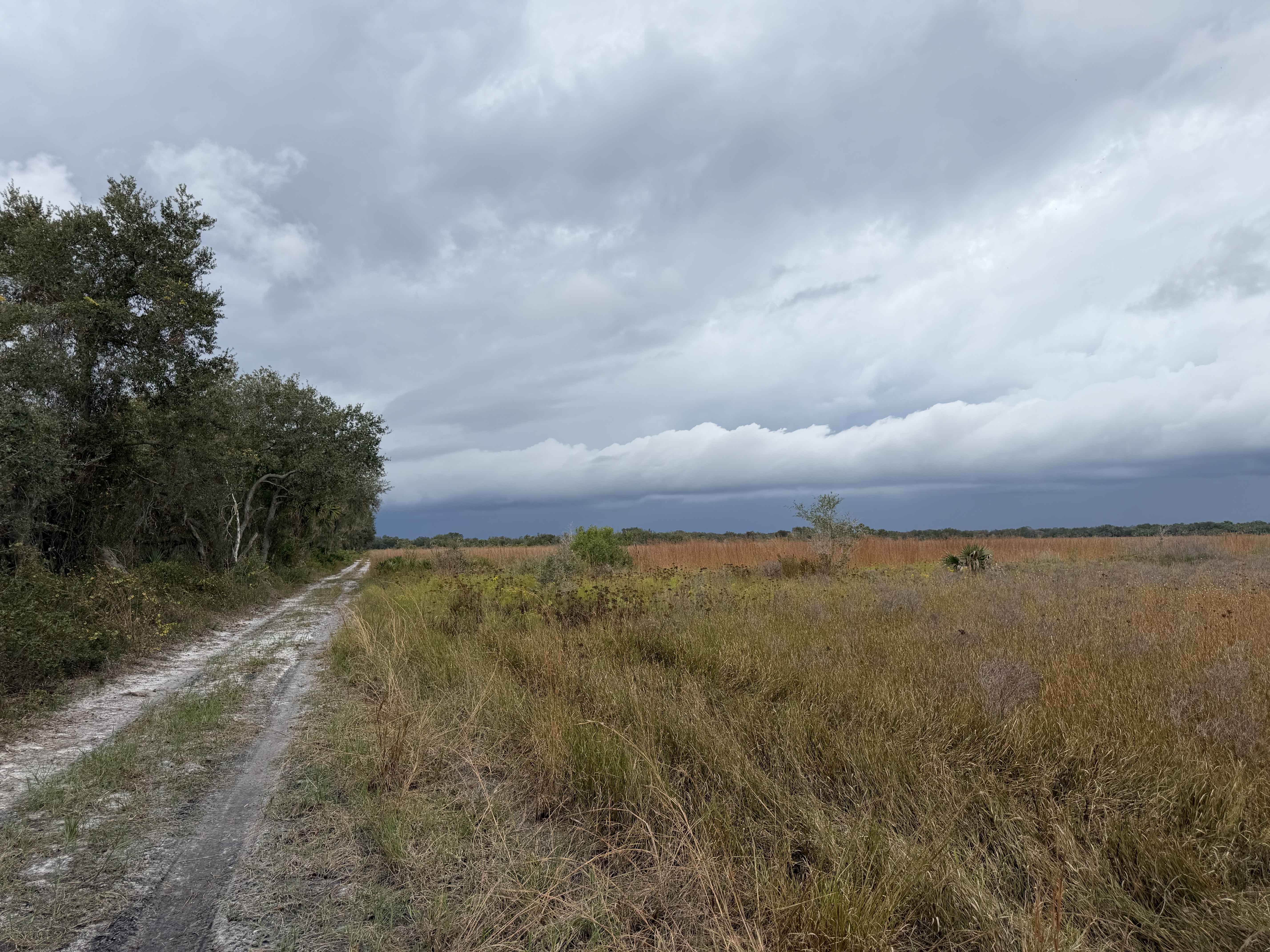 Road 7 Loop - Three Lakes WMA