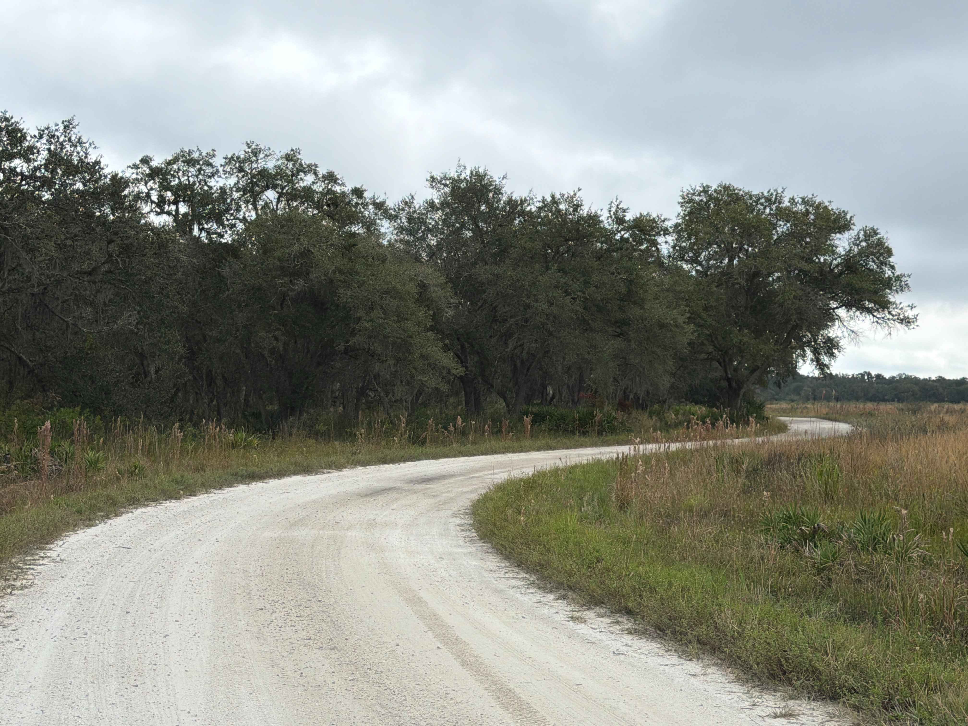 Boat Ramp Road - Three Lakes WMA