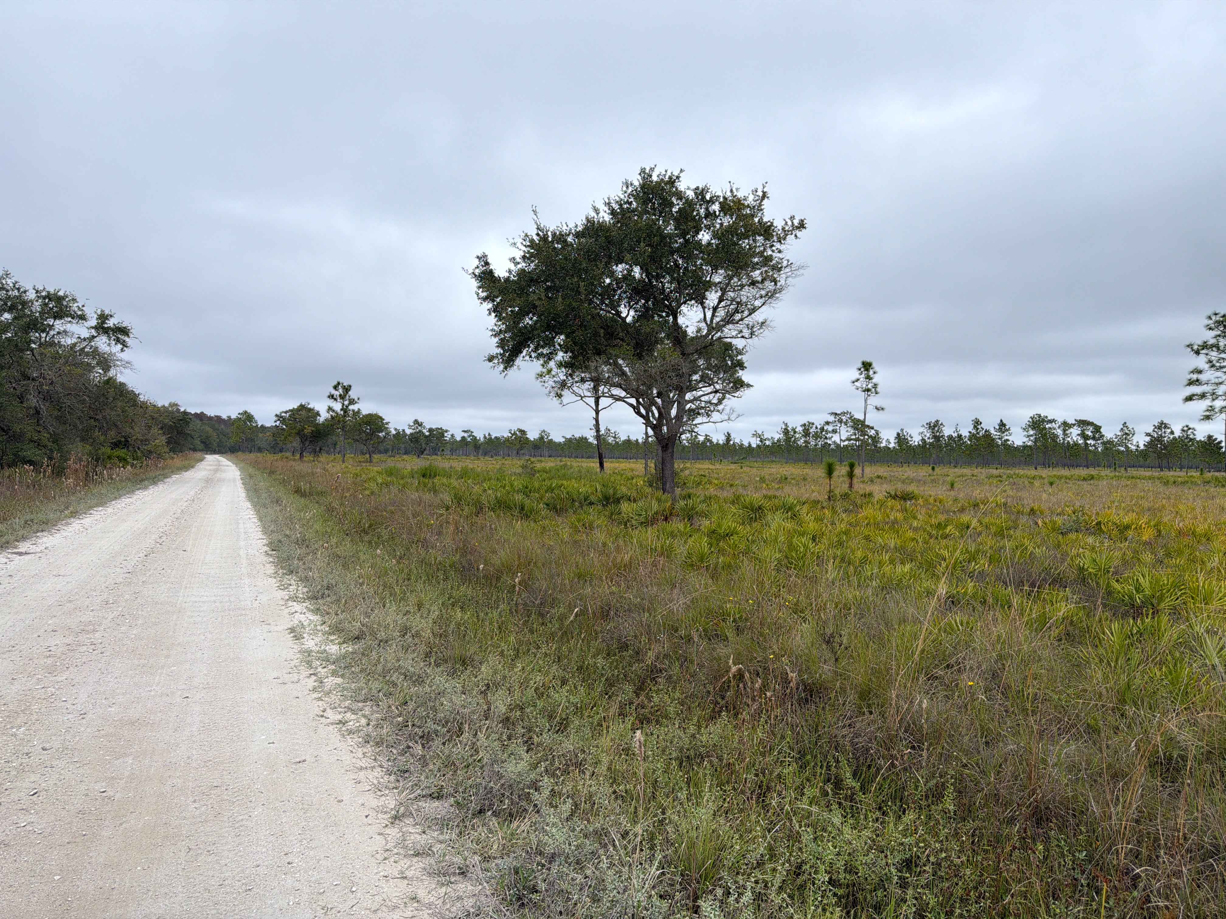 Road 5 - Three Lakes WMA