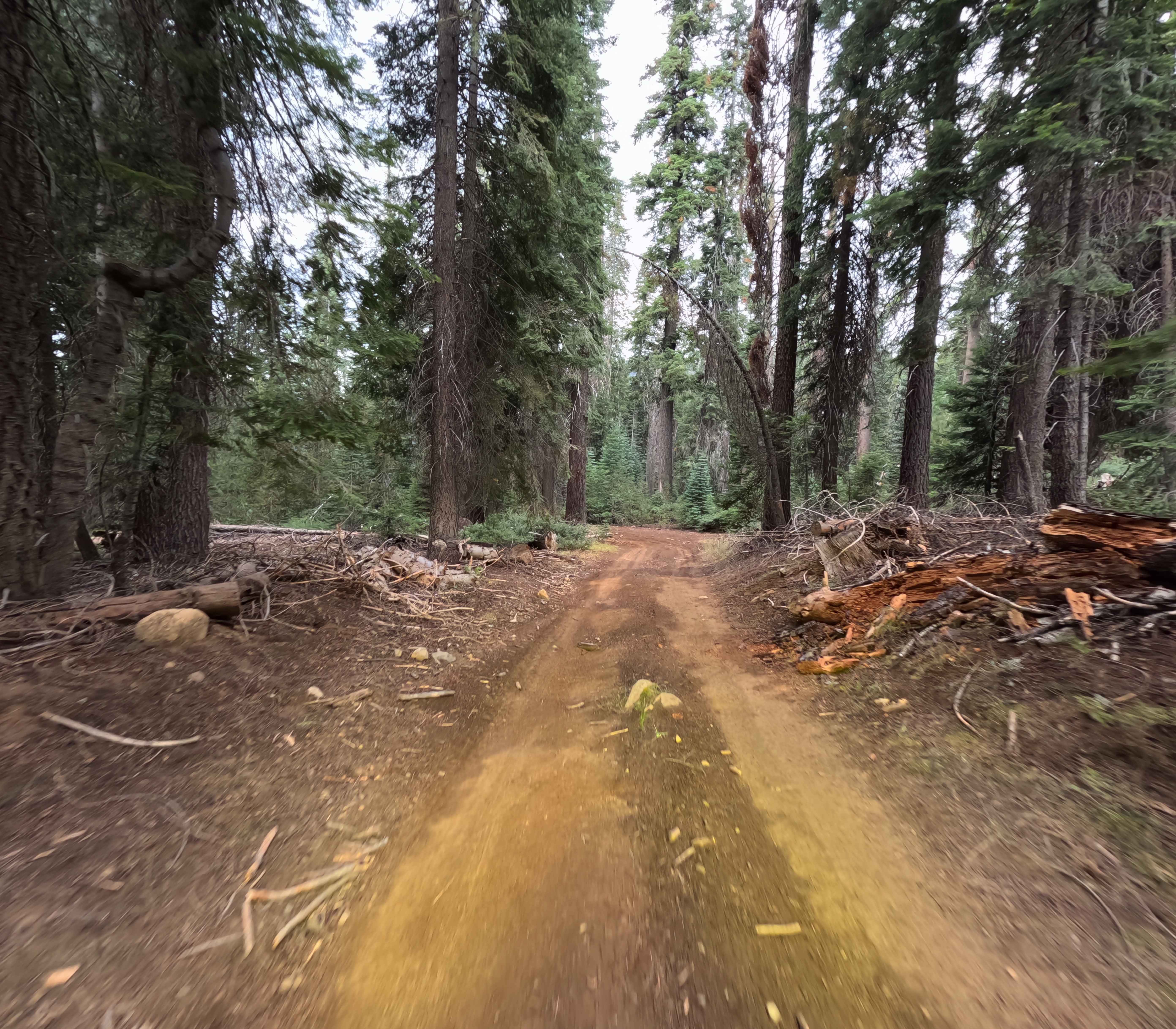 East Fork Chiquito Creek - FS 5S011