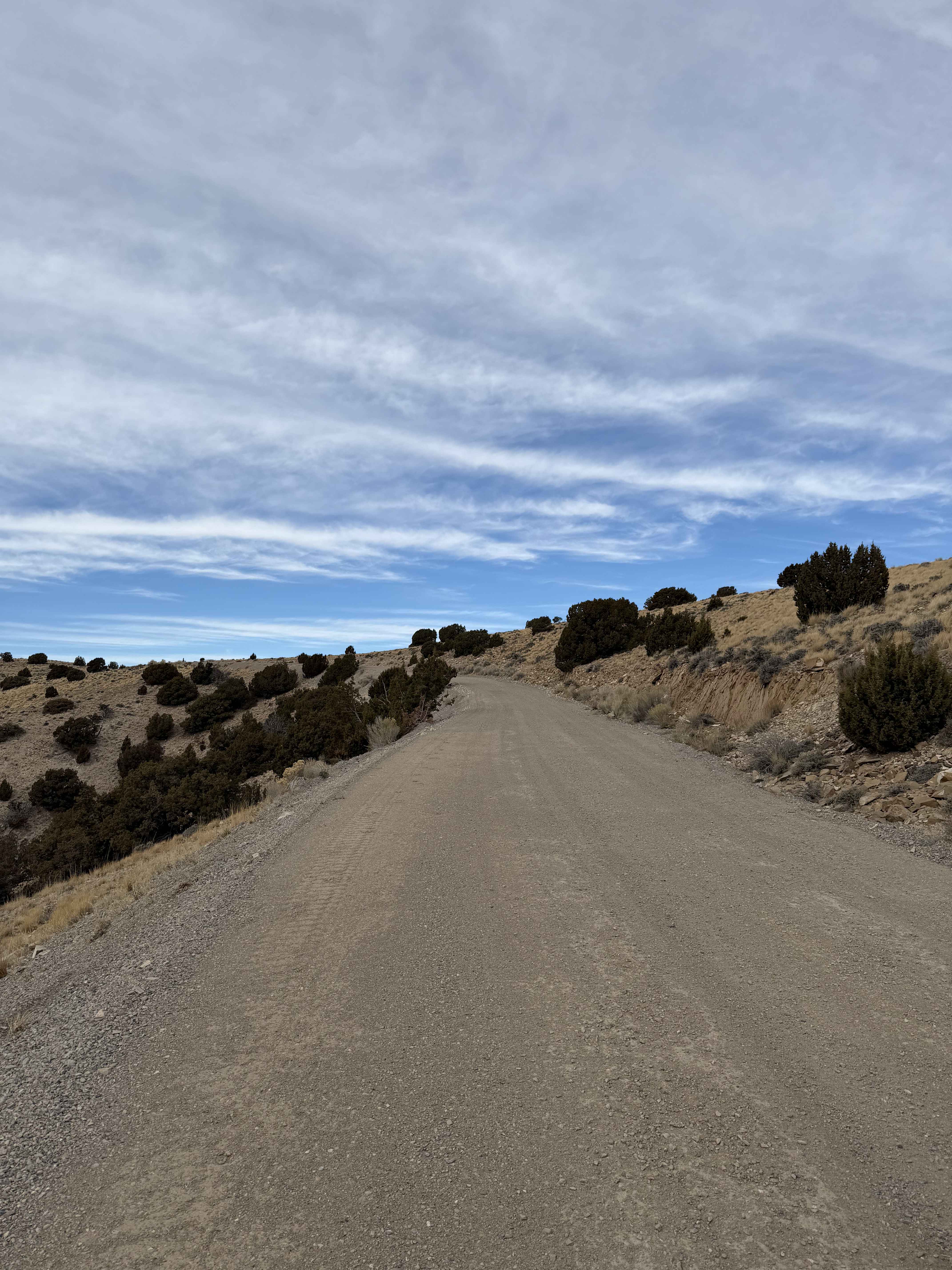 Grassy Mountain Peak Road