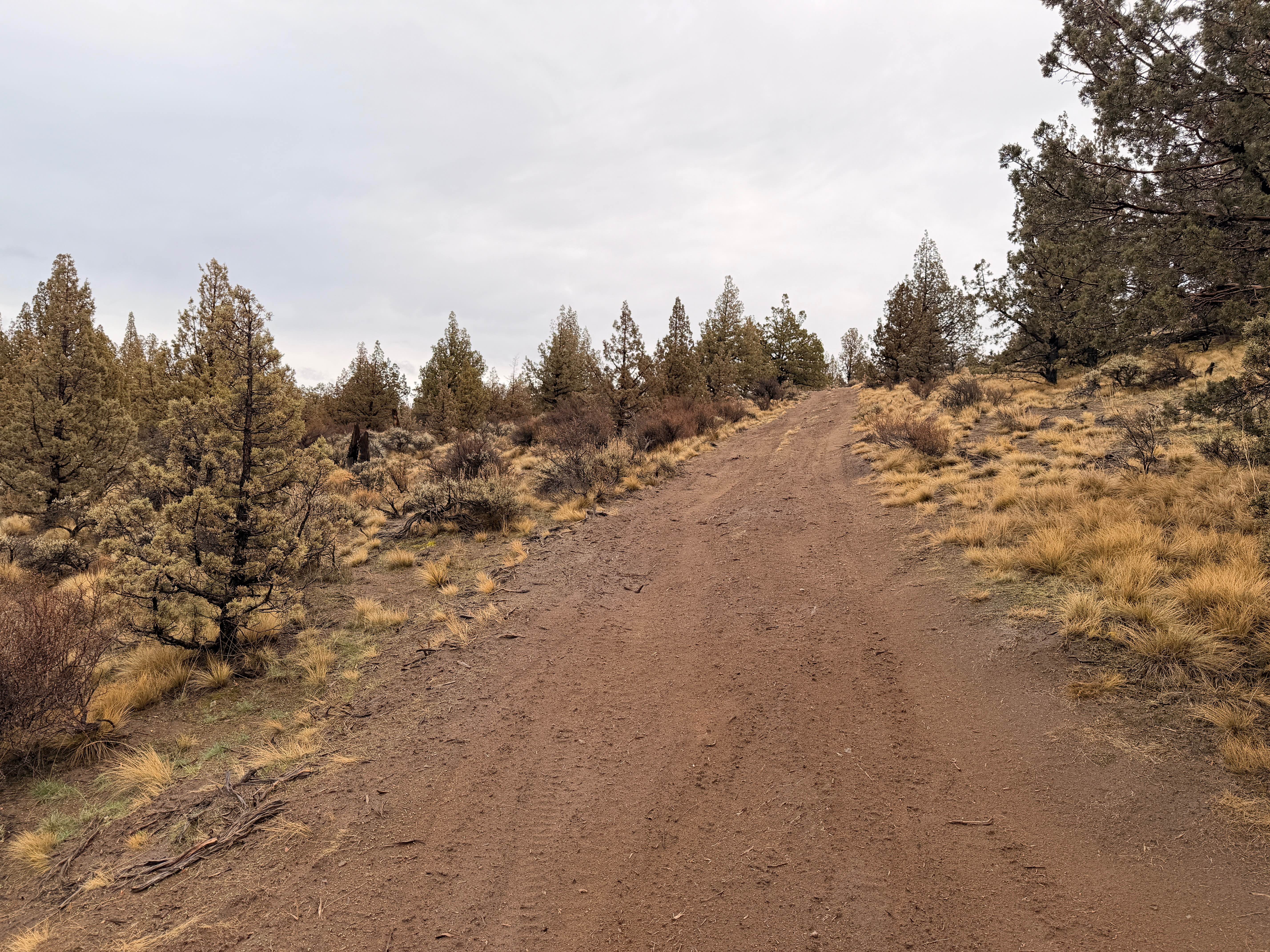 Trail 16 (Cline Bute OHV)