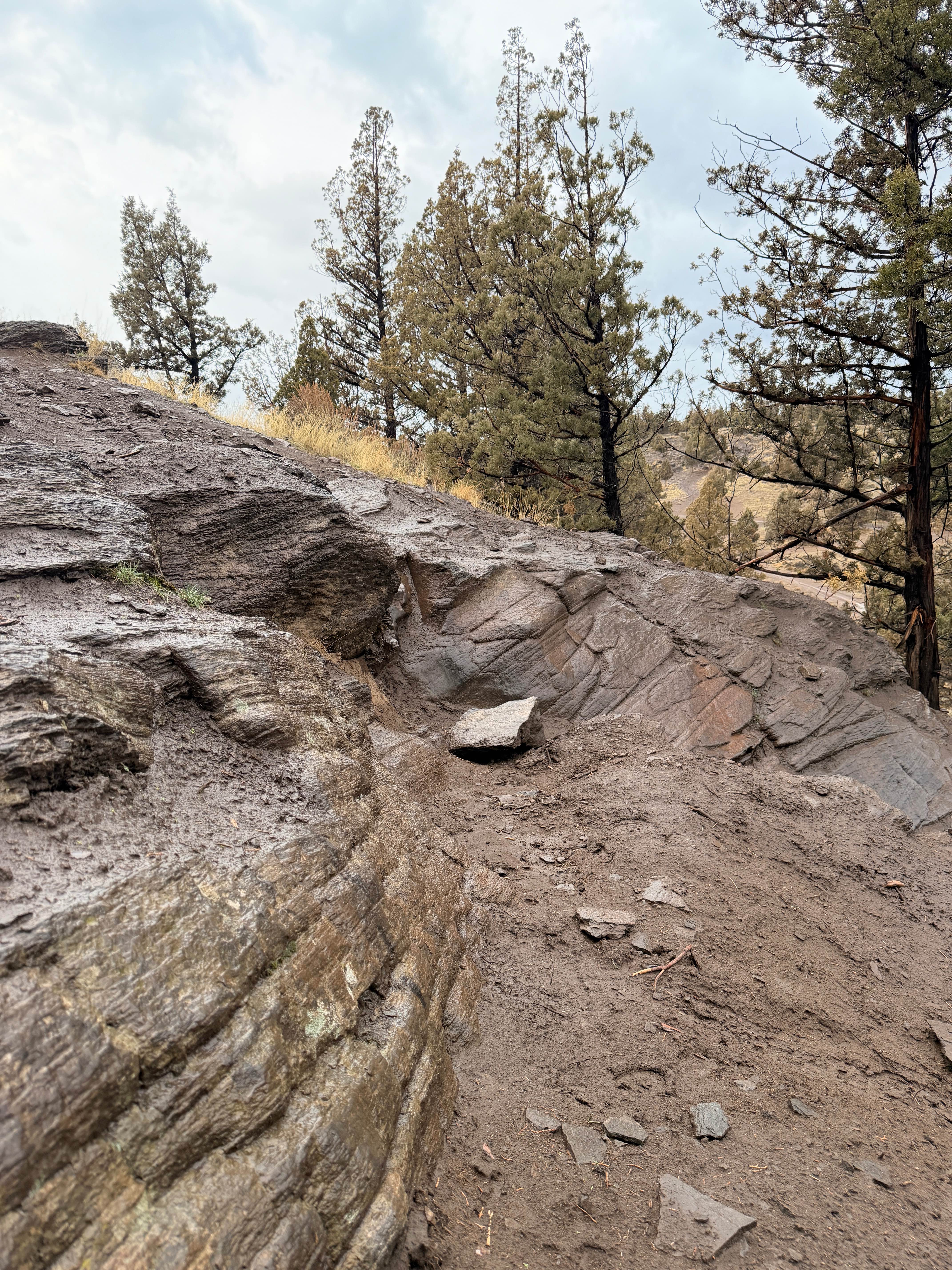 Trail 16 (Cline Bute OHV)