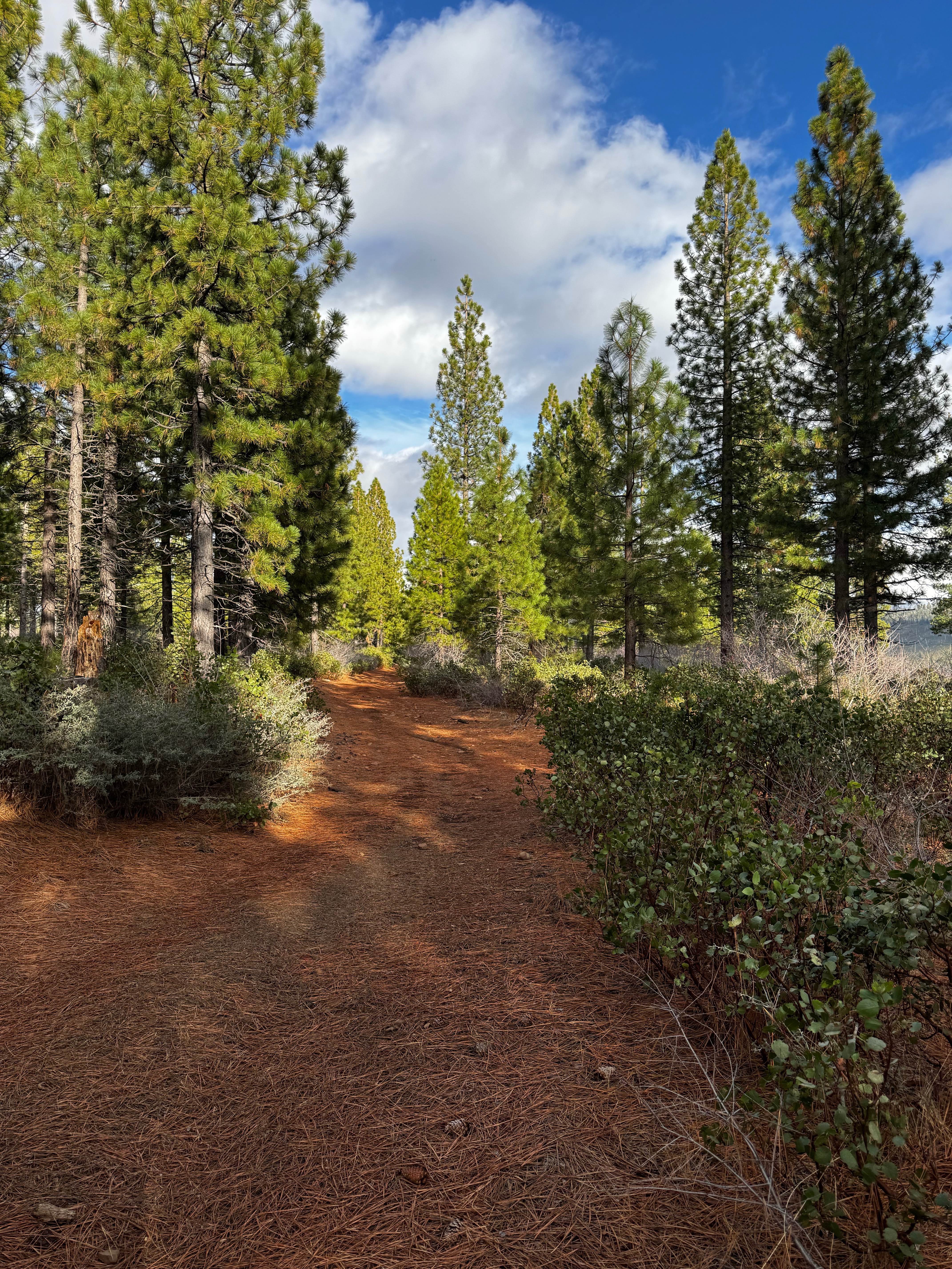 Macedon Plantation Spur (Bypass)