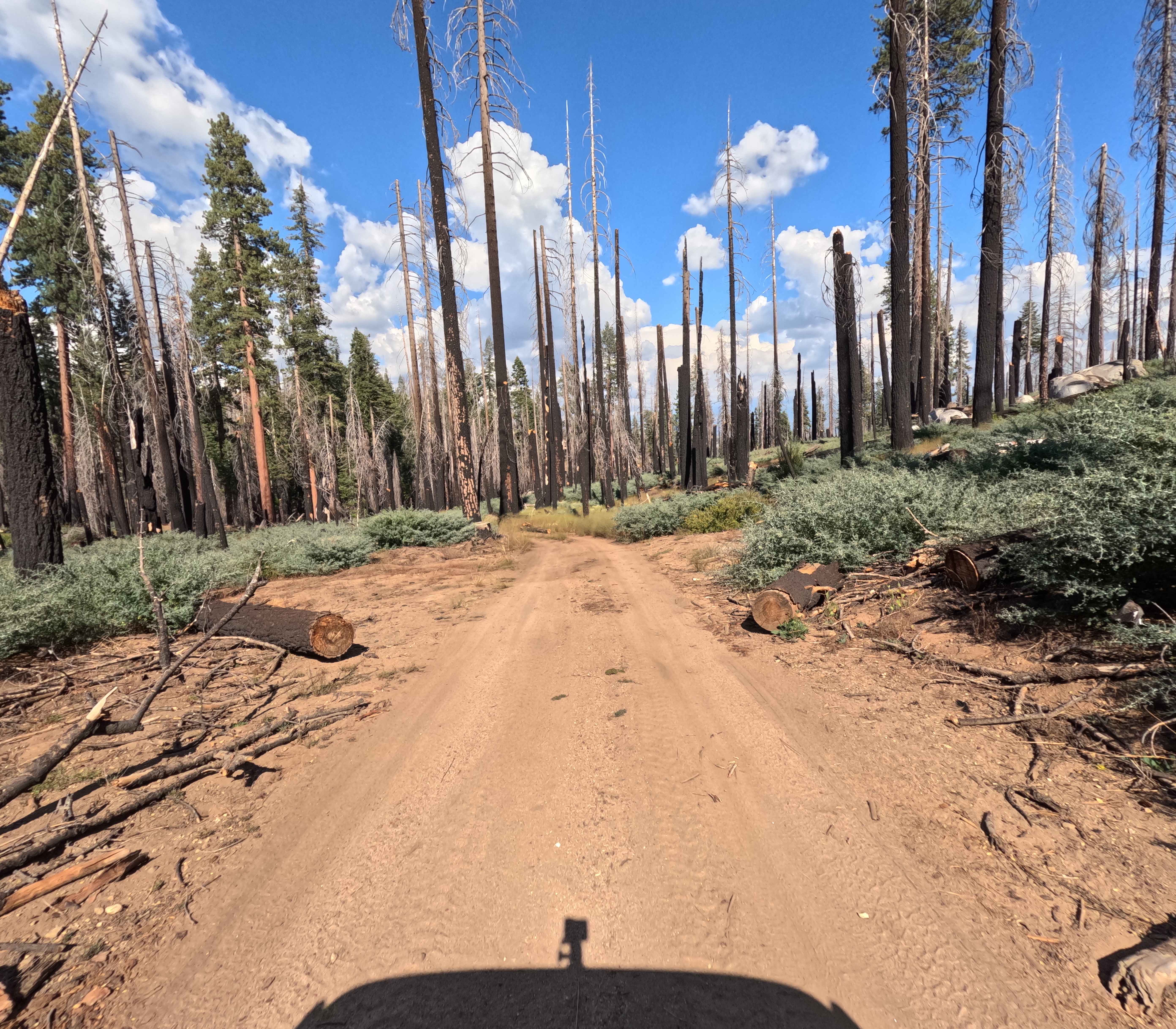 Kates Camp - FS 5S015