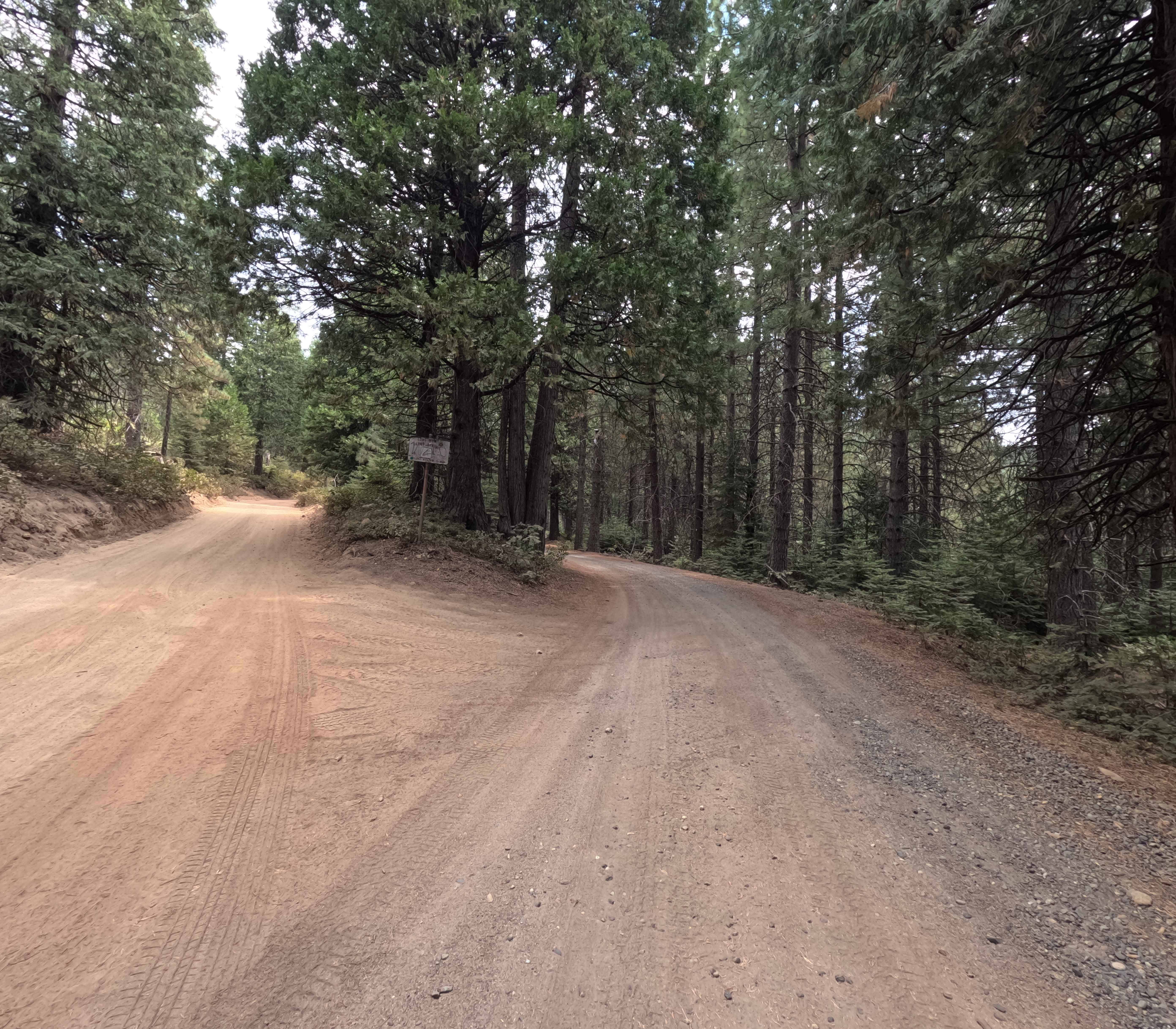 Rainier Creek - FS 5S037