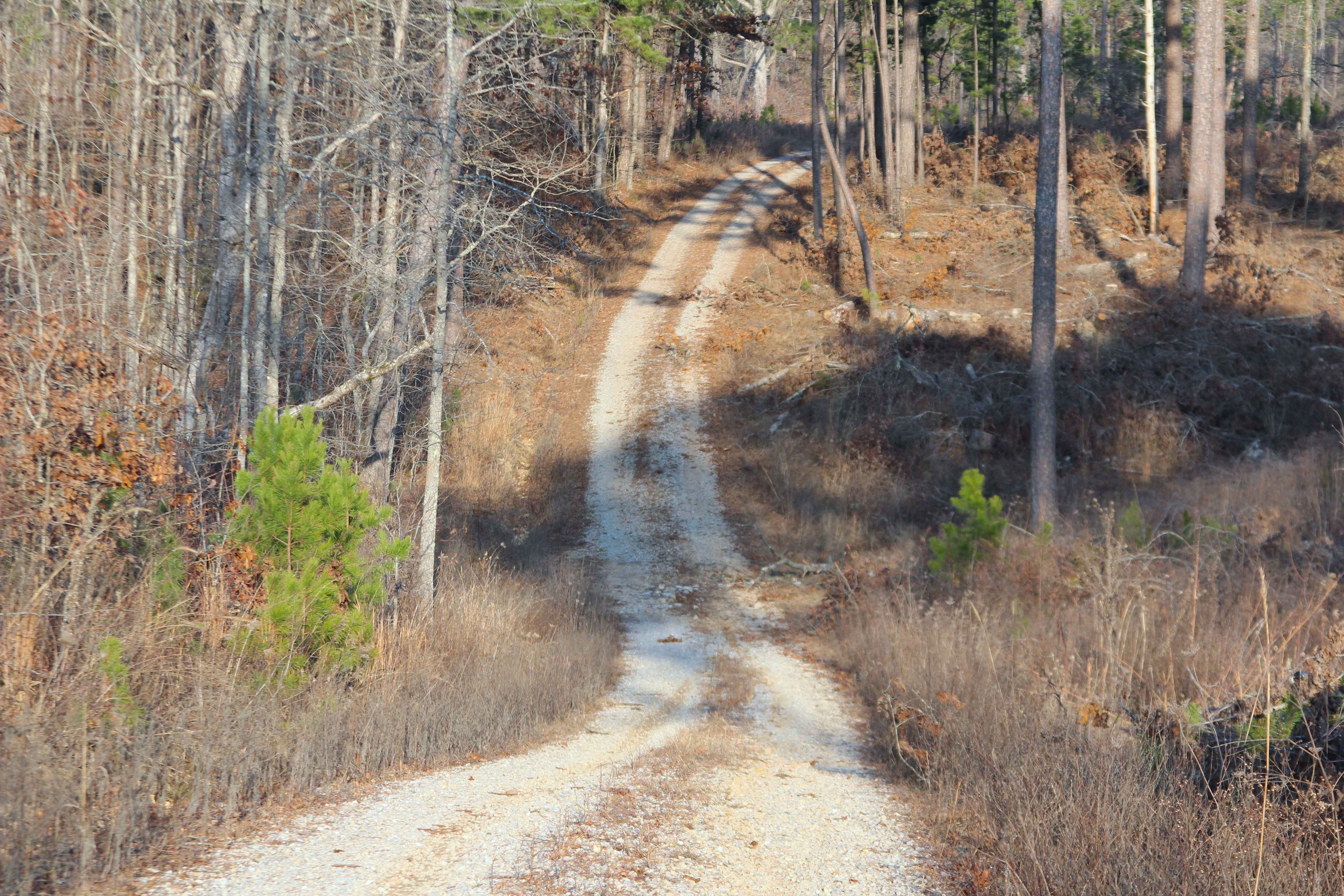Greasy Creek - FS 427