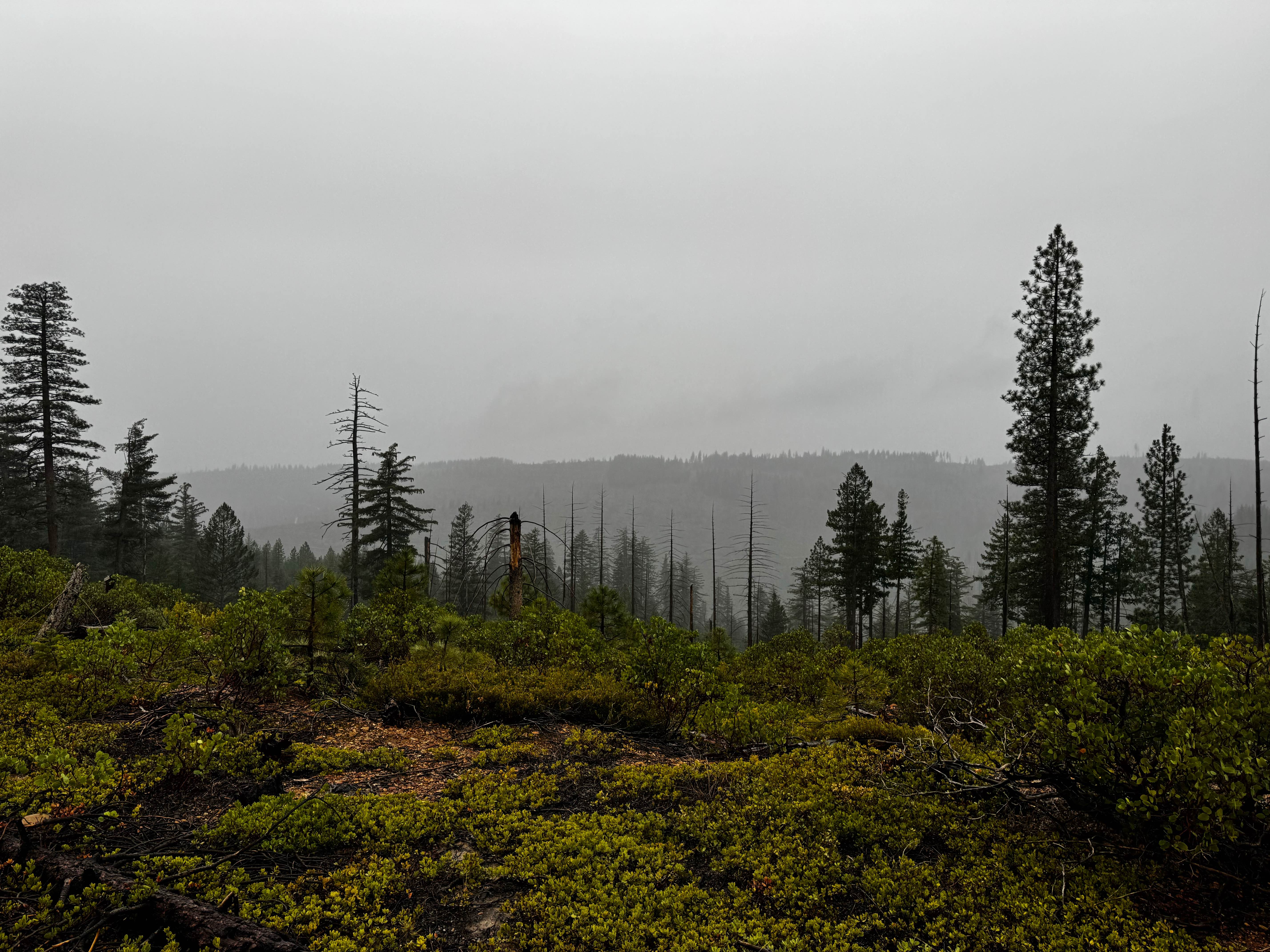 American Hill Trail Spur
