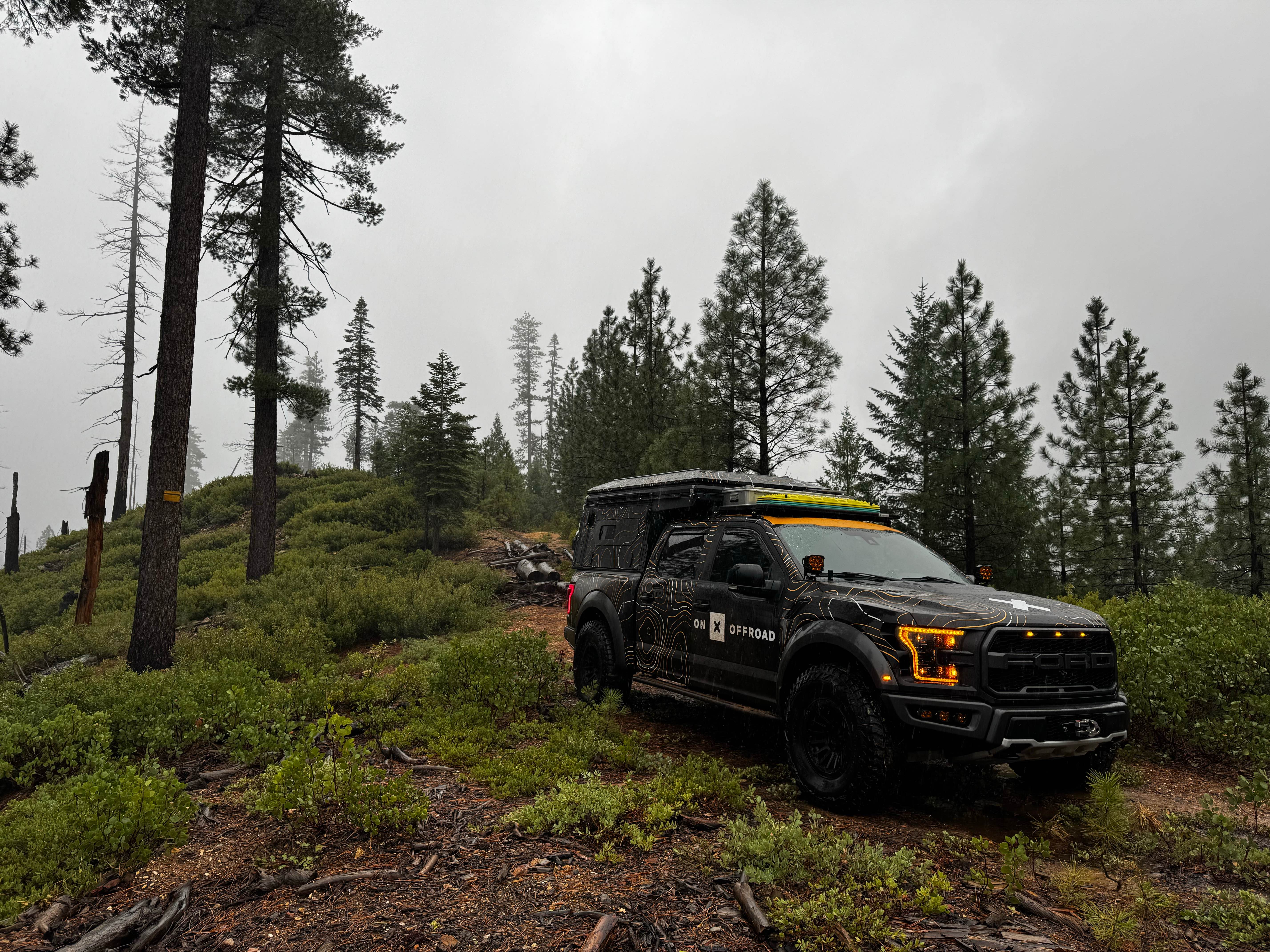 Screwauger Spur Short