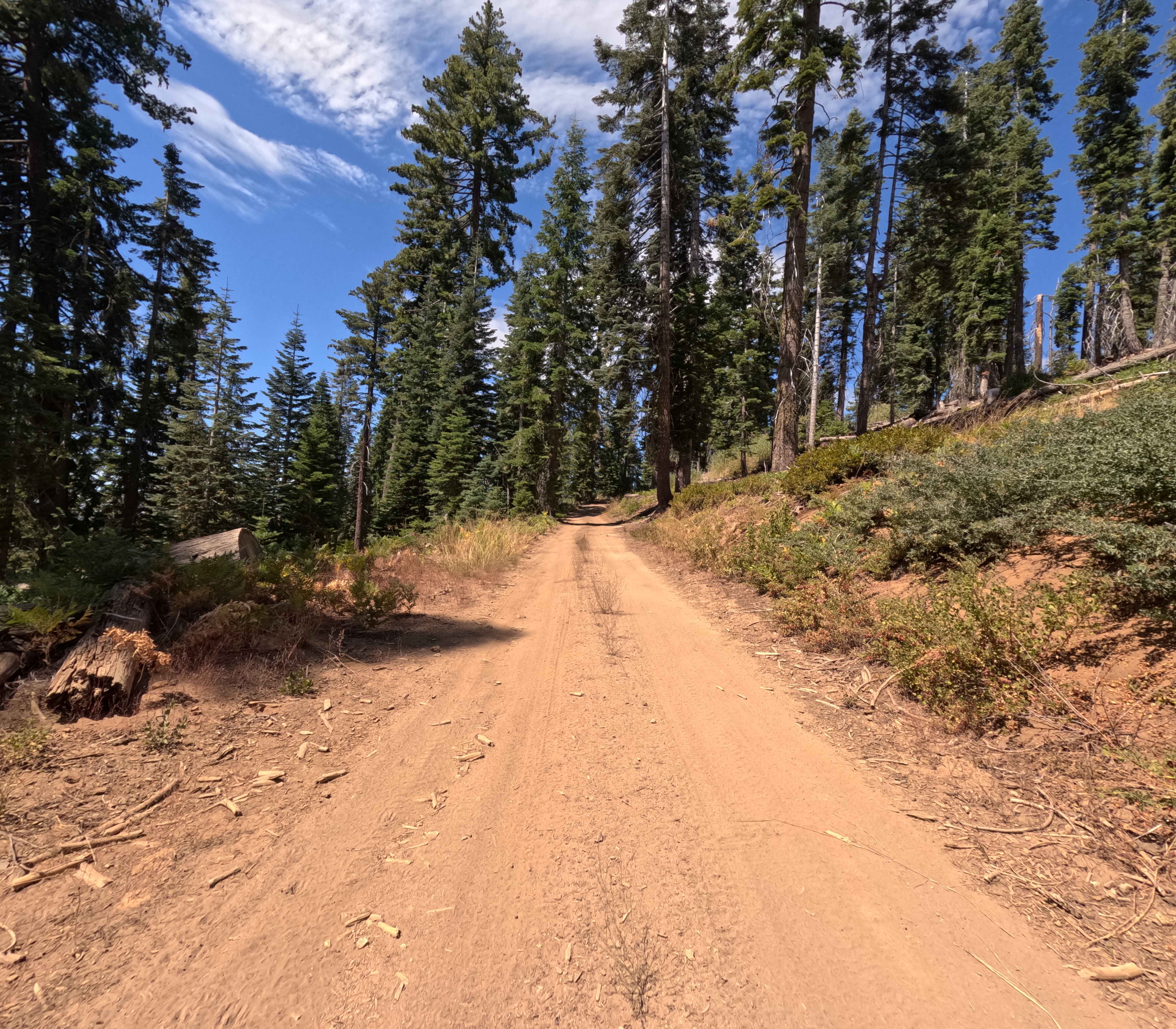 Big Creek Fire Road - South - FS 5S048