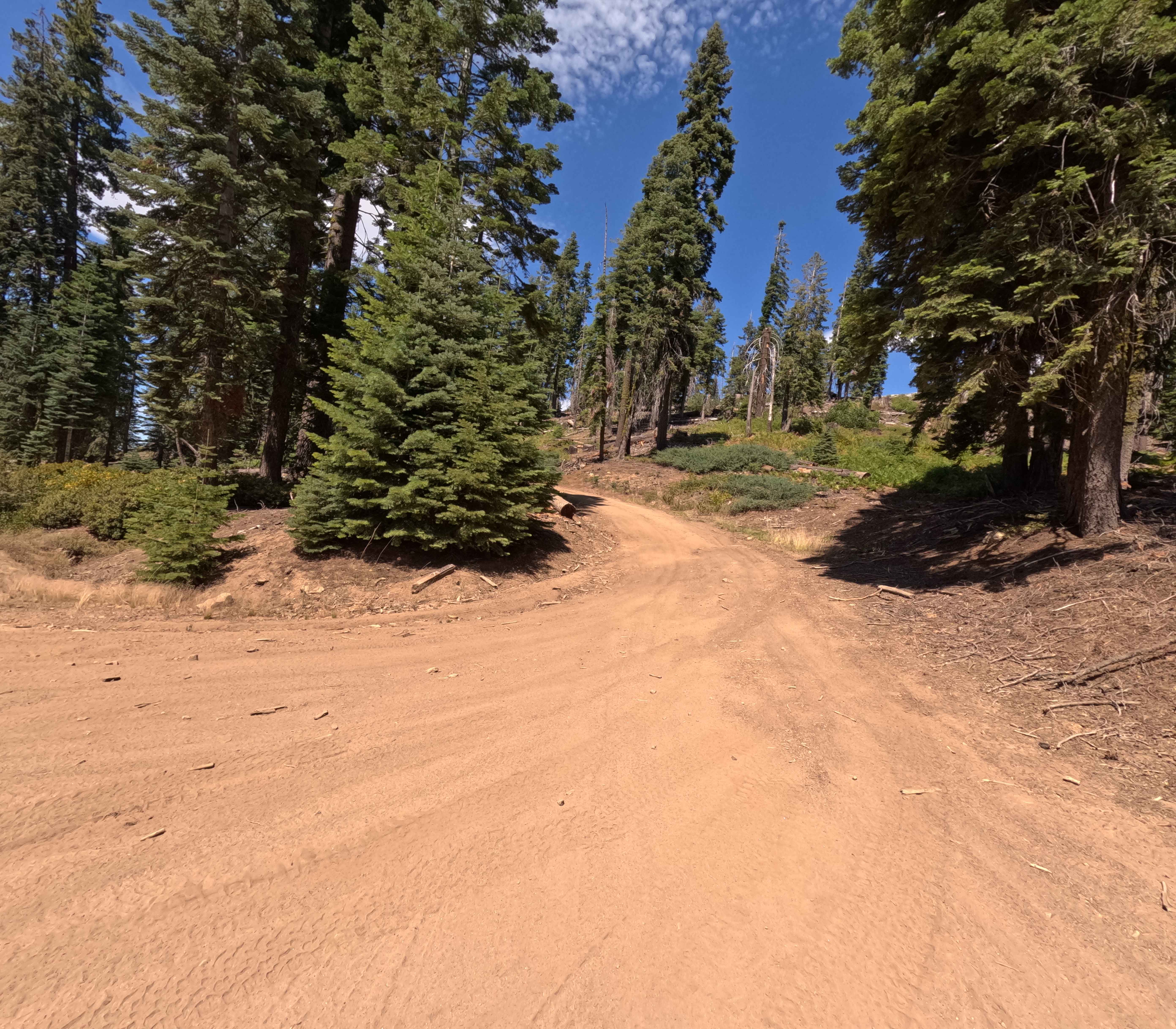 Big Creek Fire Road - South - FS 5S048