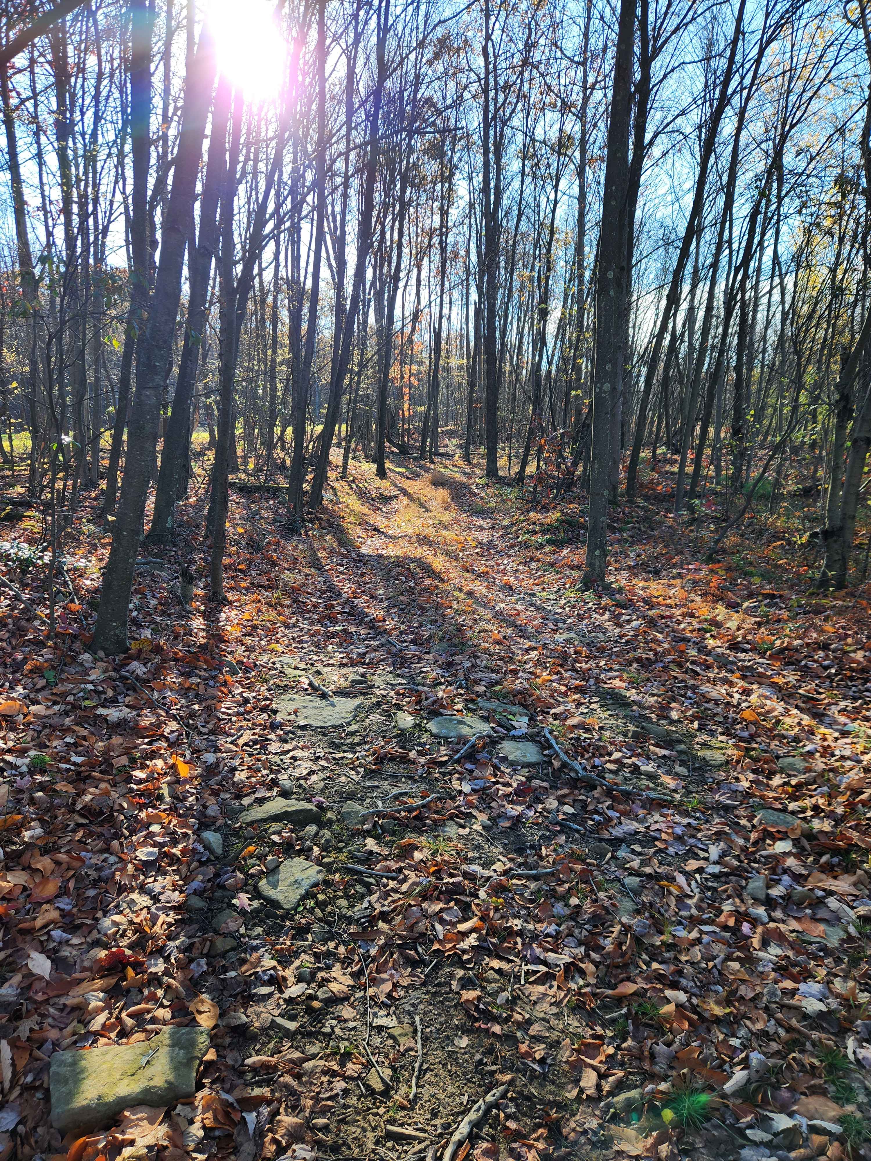OHV 1 - Rock Run Recreation Area