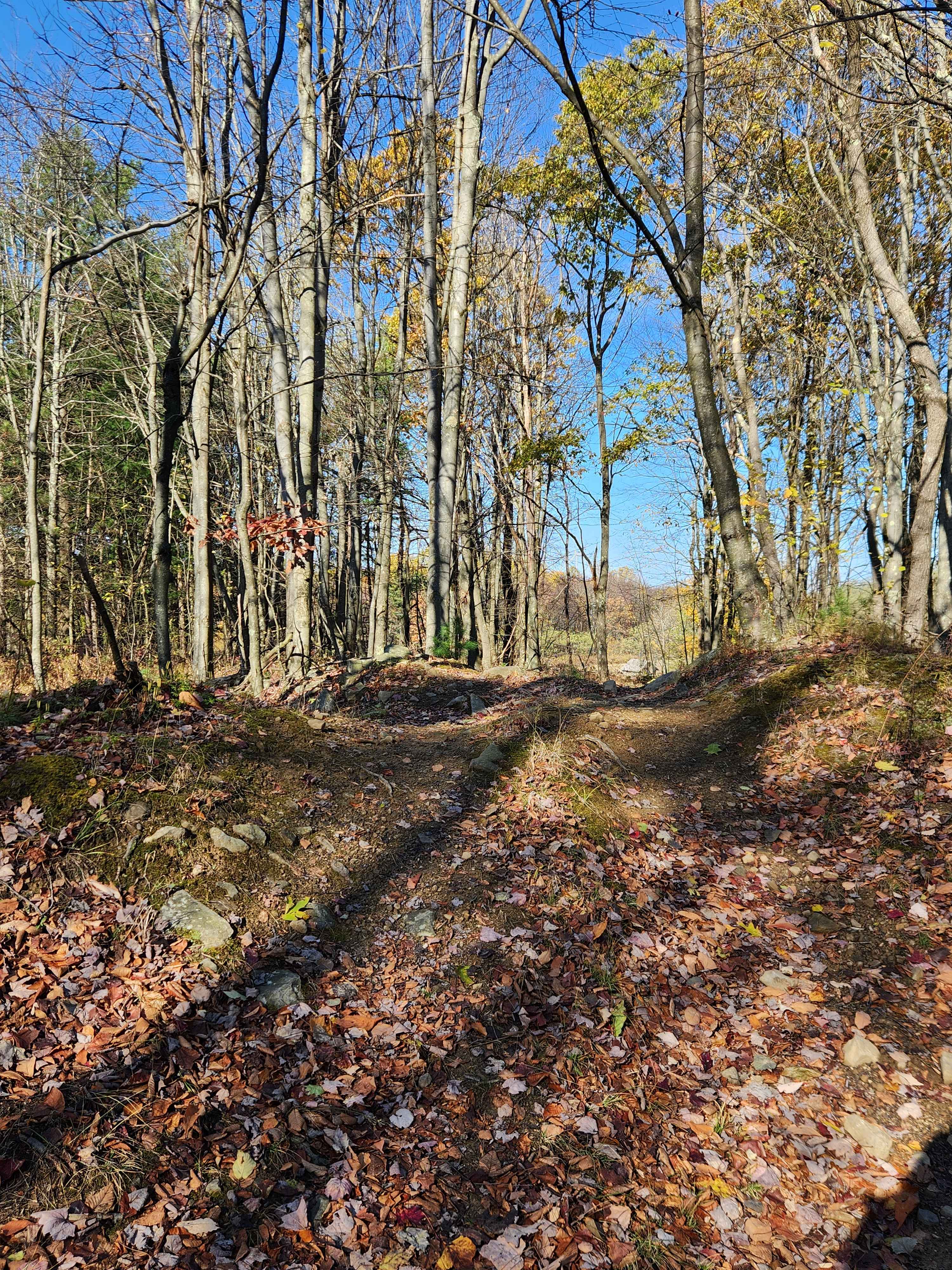 OHV 2 - Rock Run Recreation Area