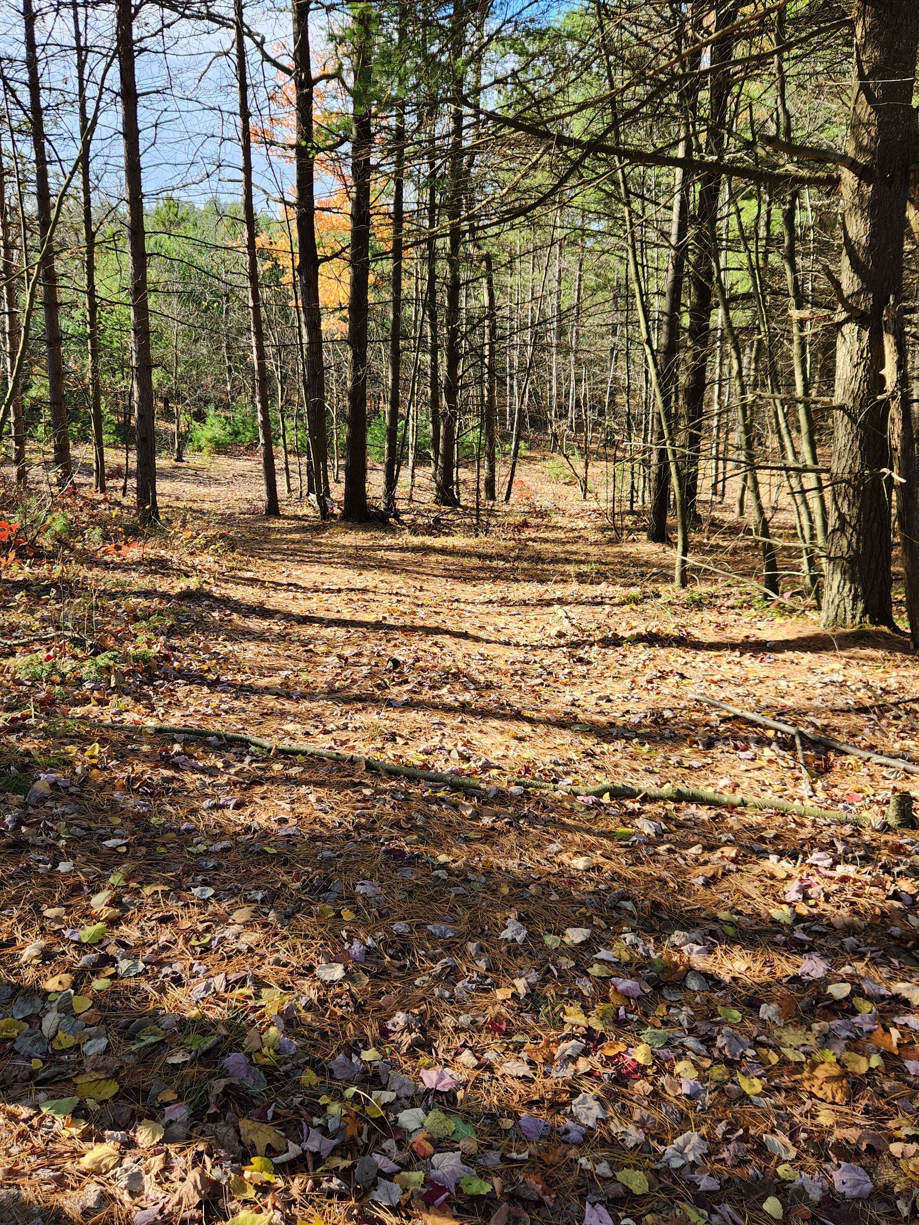 OHV 2 - Rock Run Recreation Area