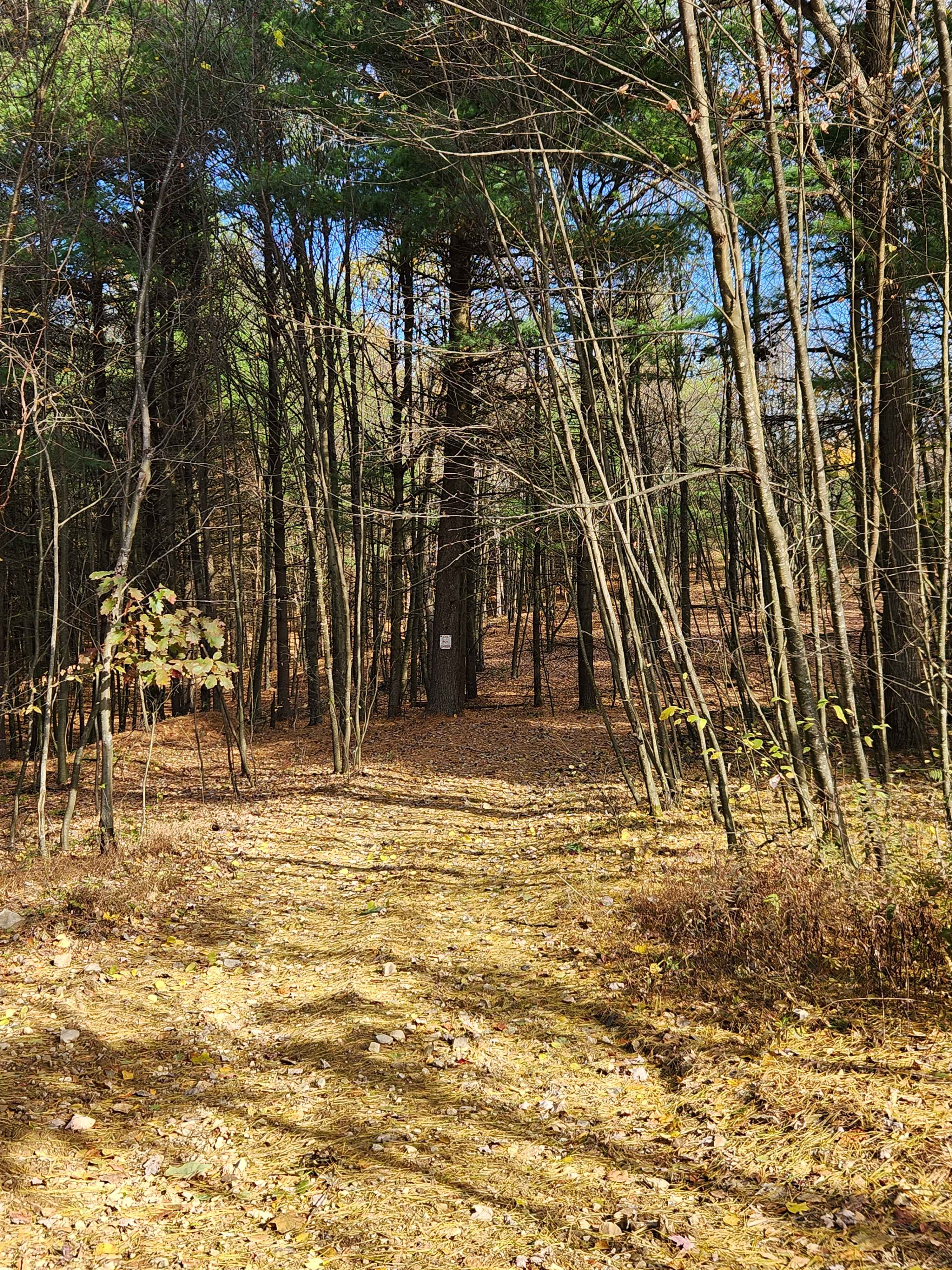 OHV 7 - Rock Run Recreation Area