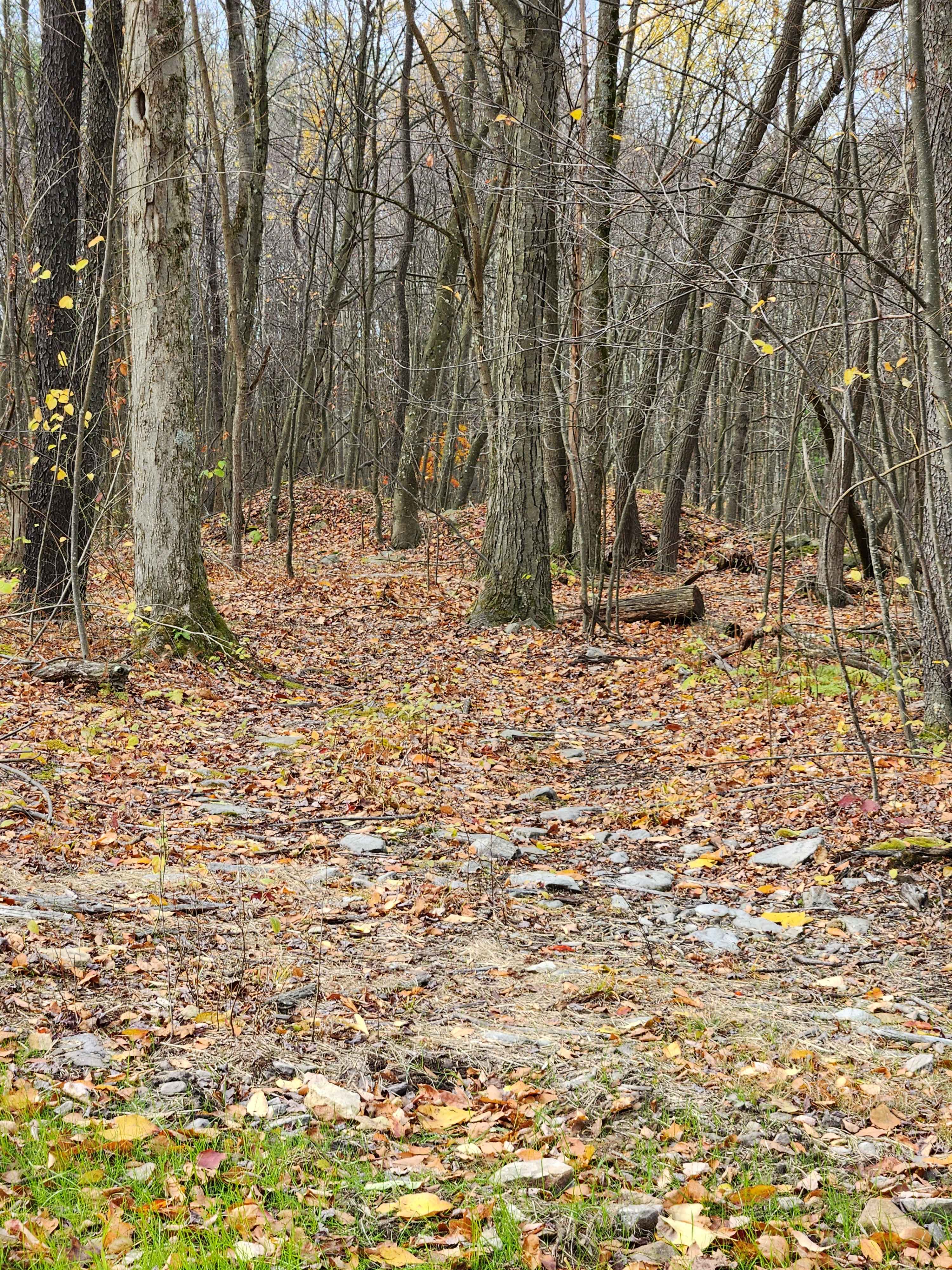 OHV 10 - Rock Run Recreation Area