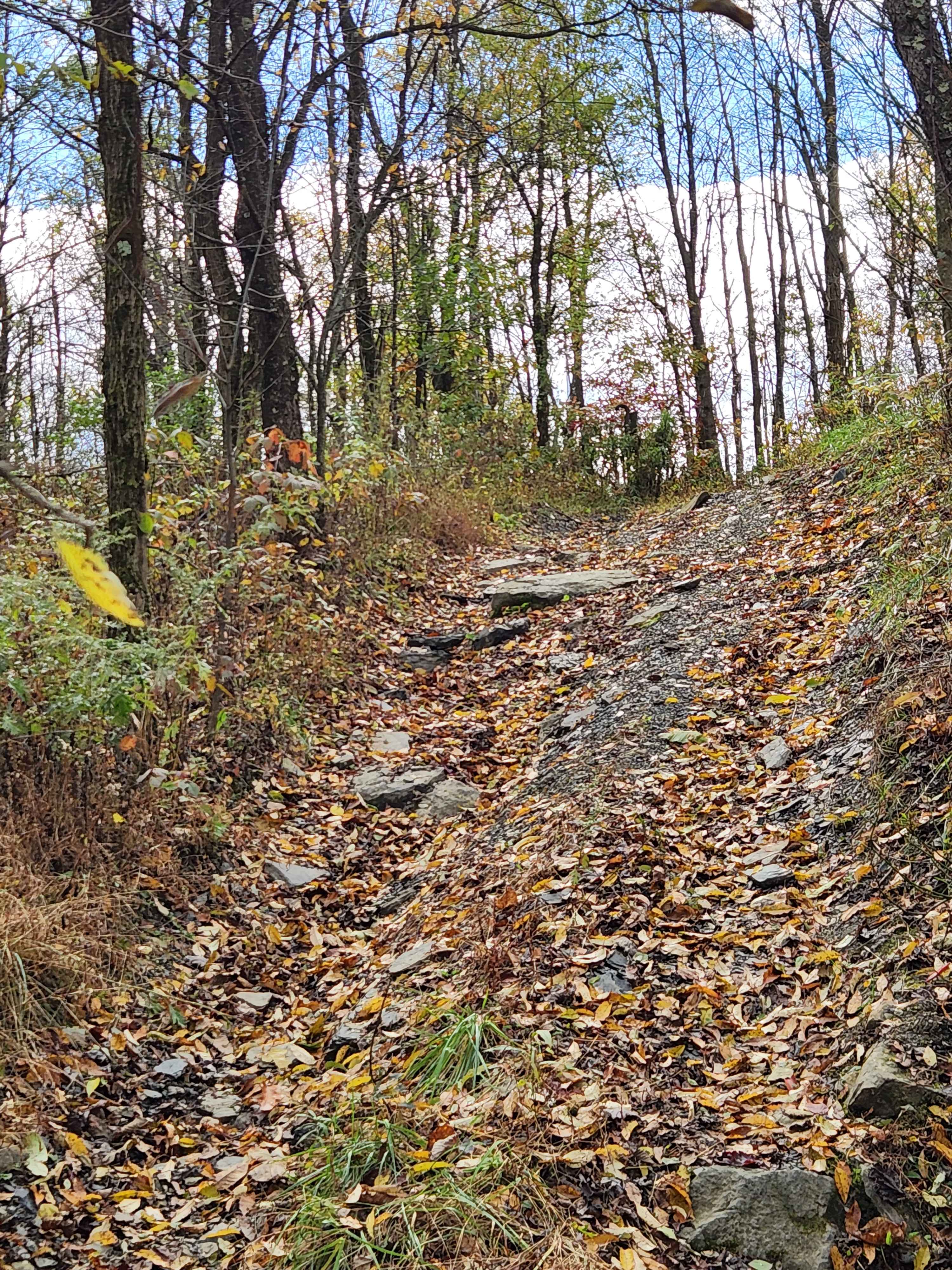 OHV 12 - Rock Run Recreation Area