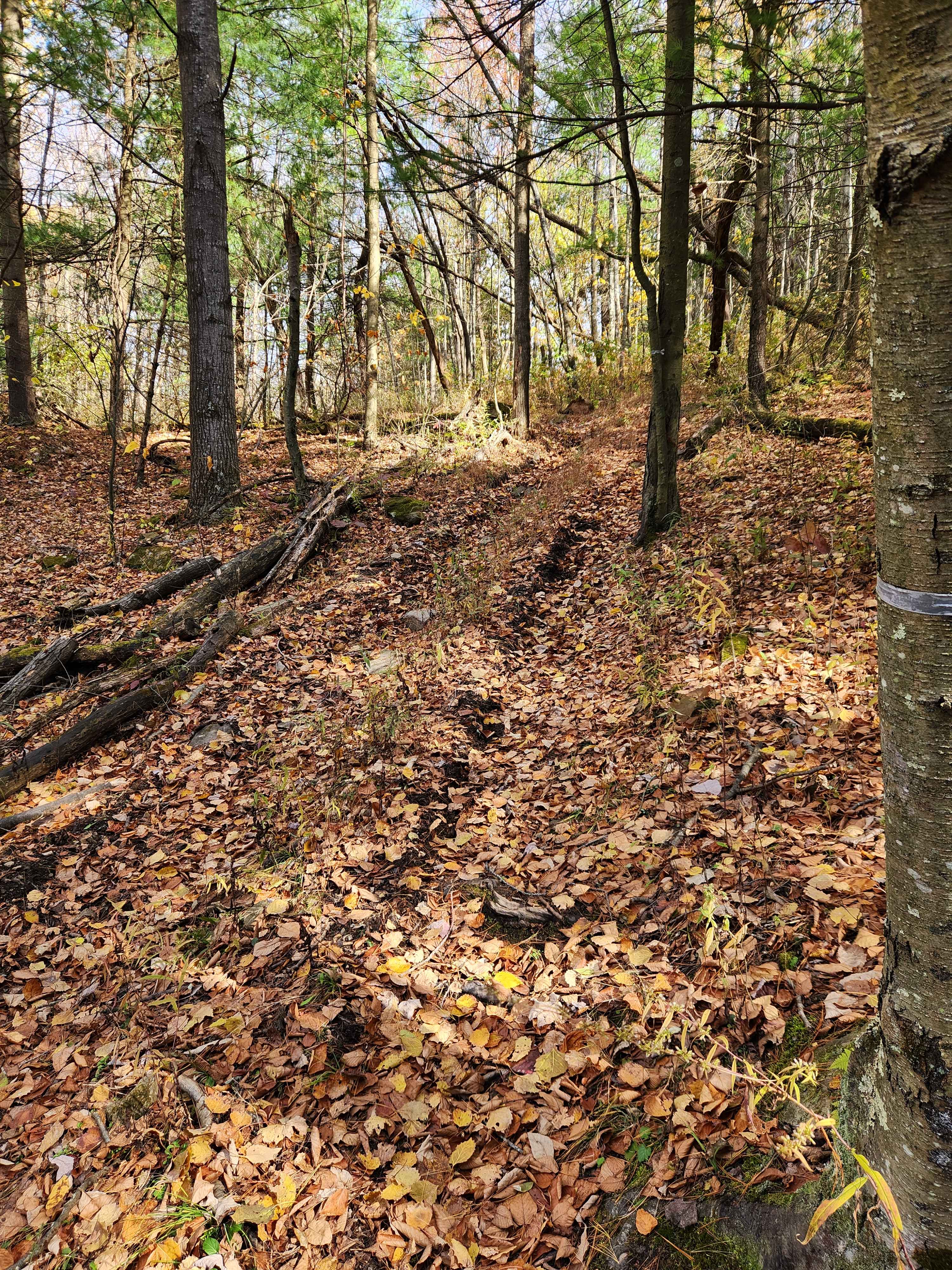 OHV 15 - Rock Run Recreation Area