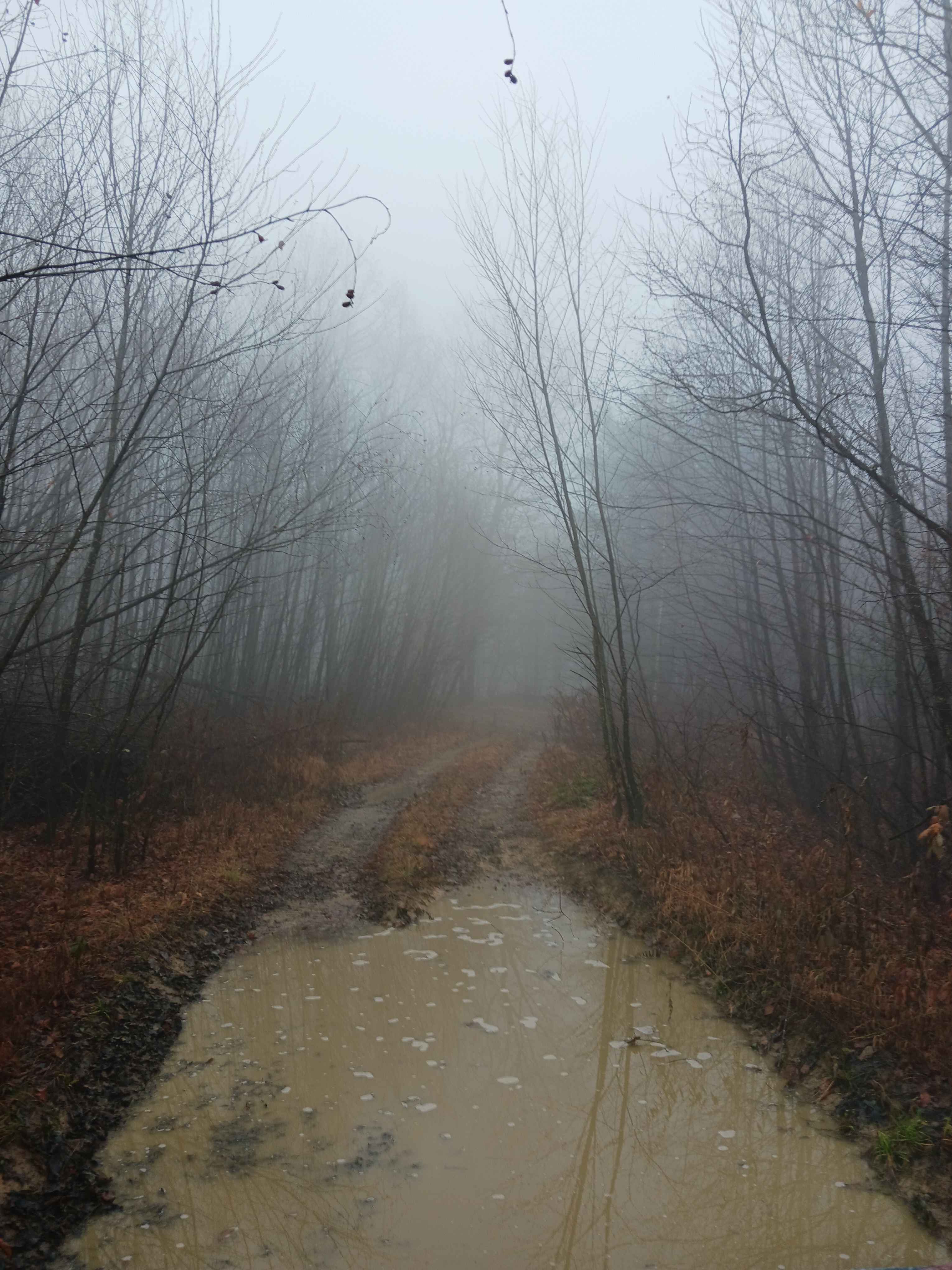 OHV 17 - Rock Run Recreation Area