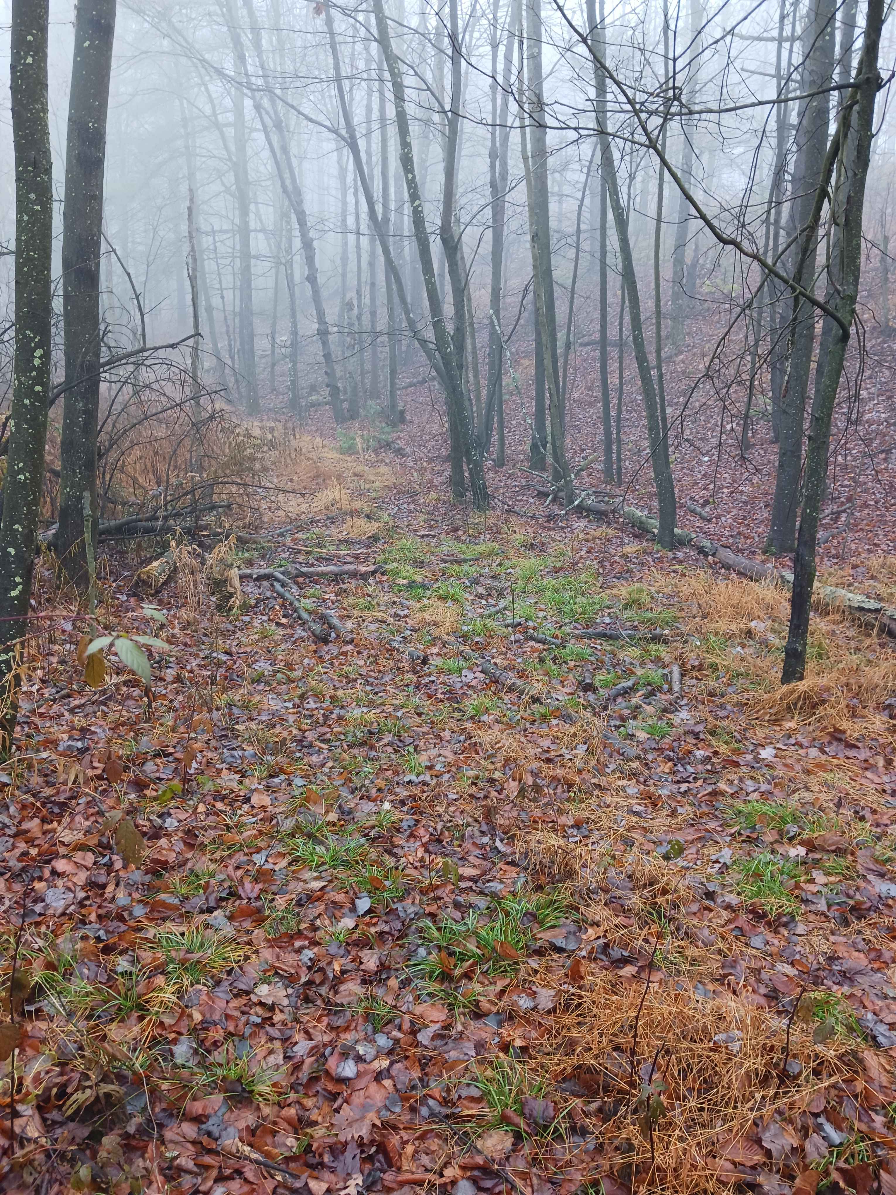 OHV 20 - Rock Run Recreation Area