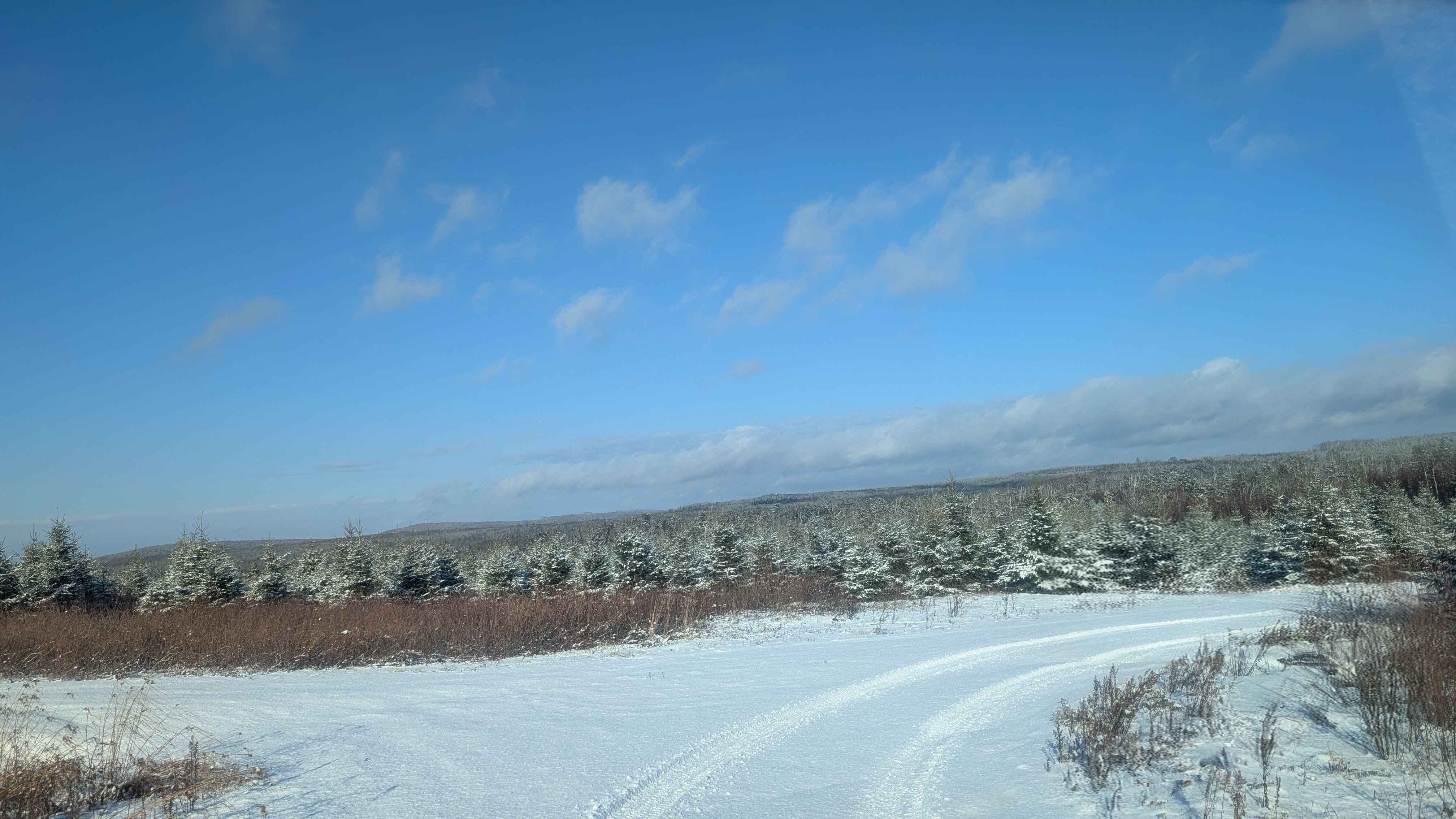 Stoneridge Hydro Logging Road