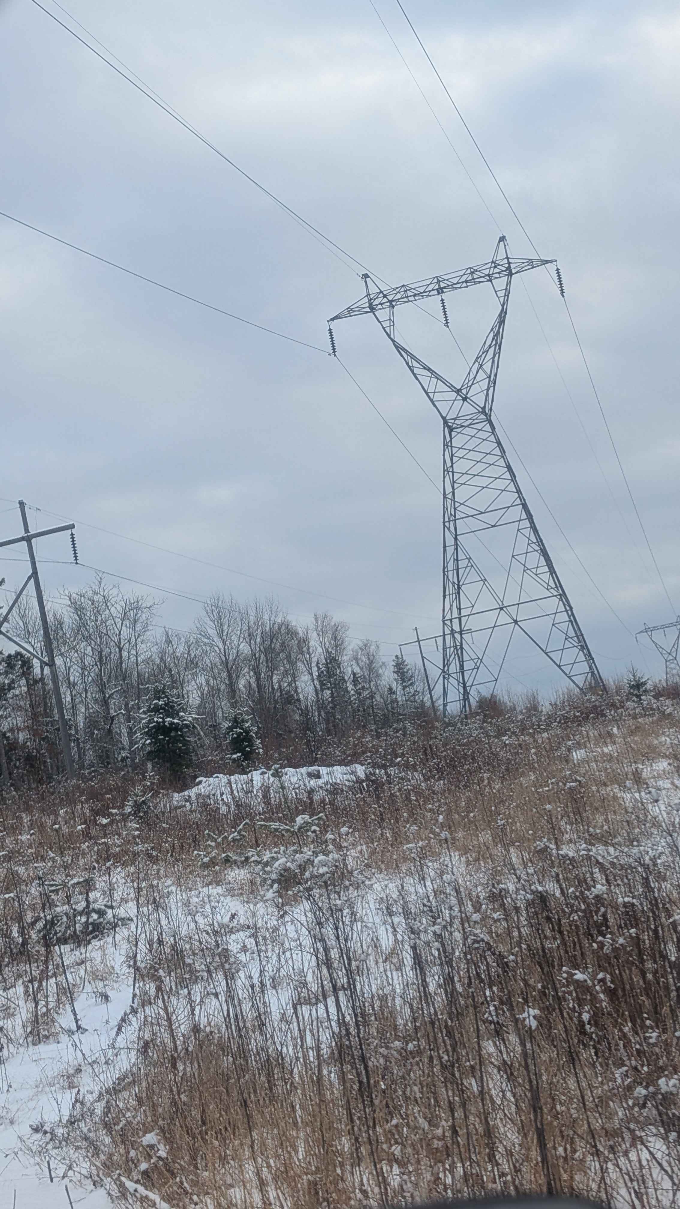 Stoneridge Hydro Logging Road
