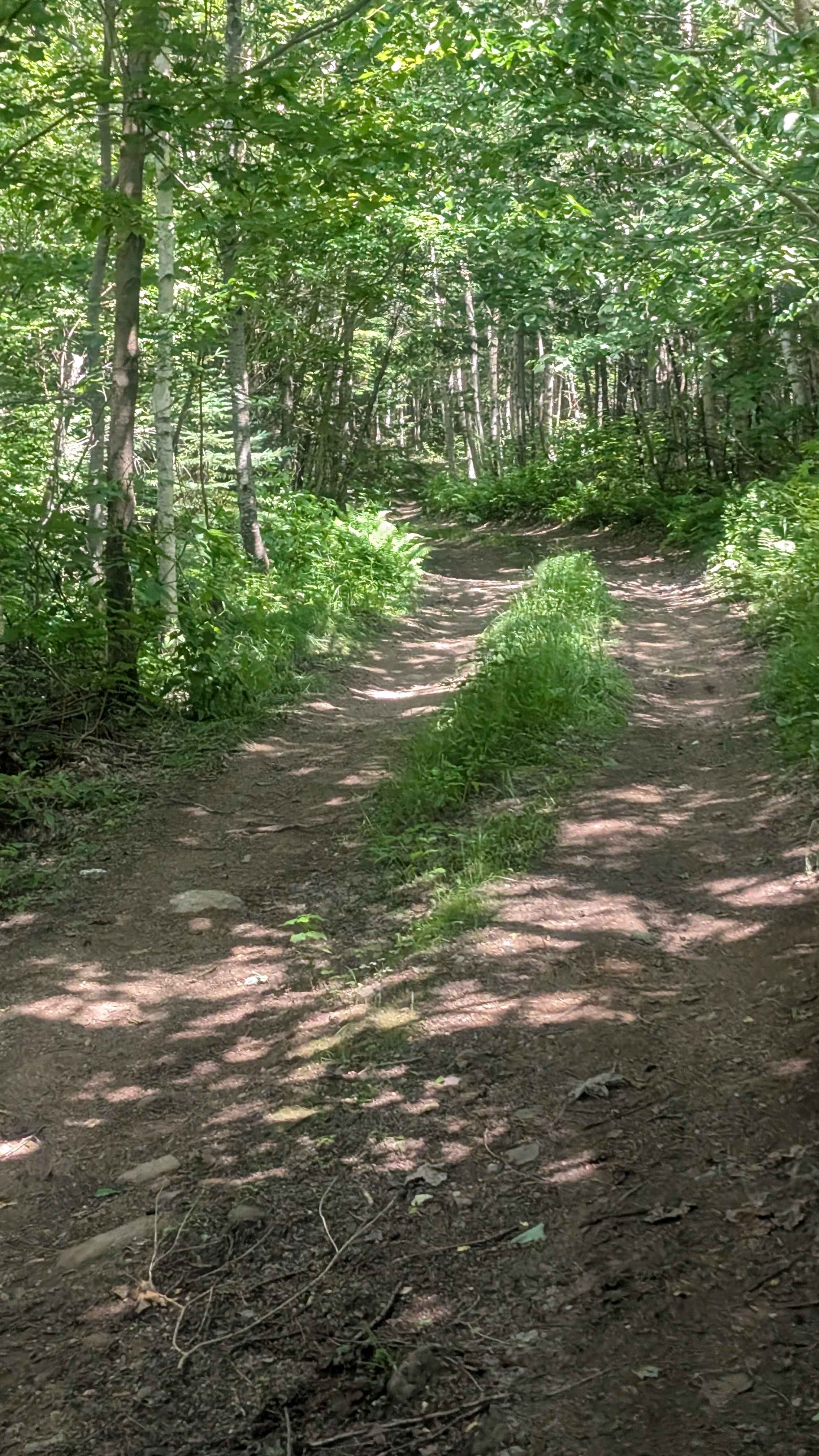Sweeney Road Descent