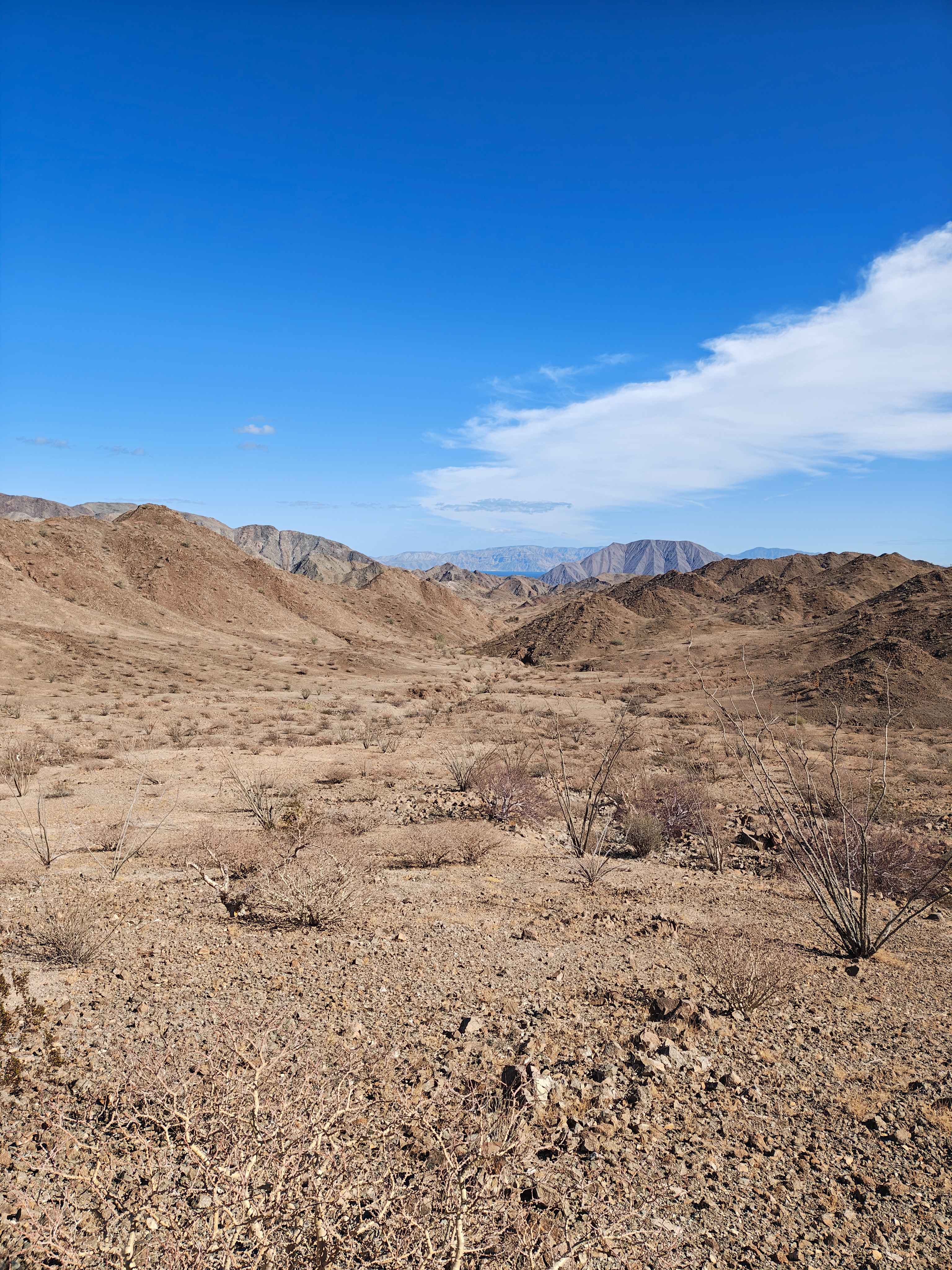 Alcatraz Bay - Single Track