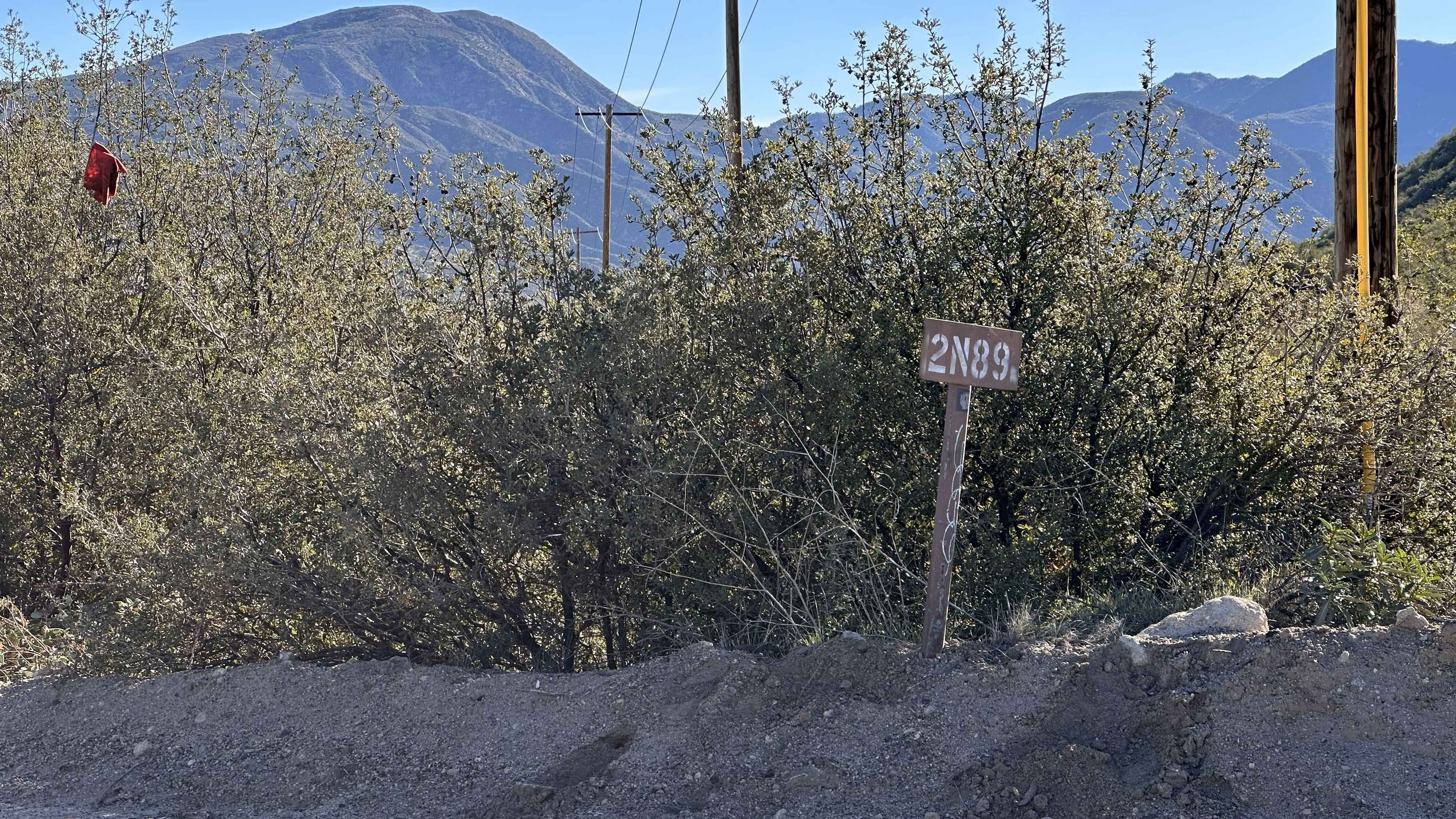 Old 3N49 Access Road