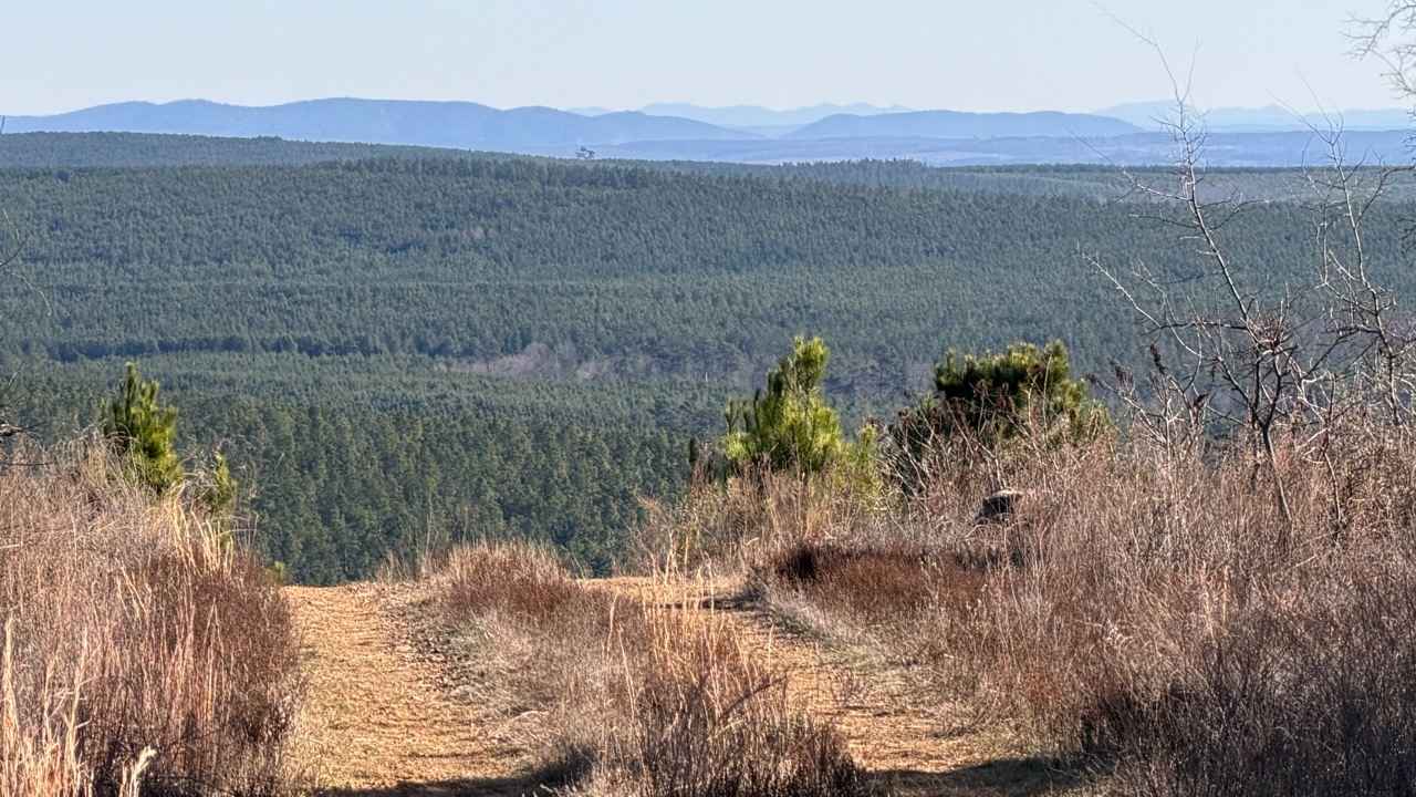 East Signal Mountain