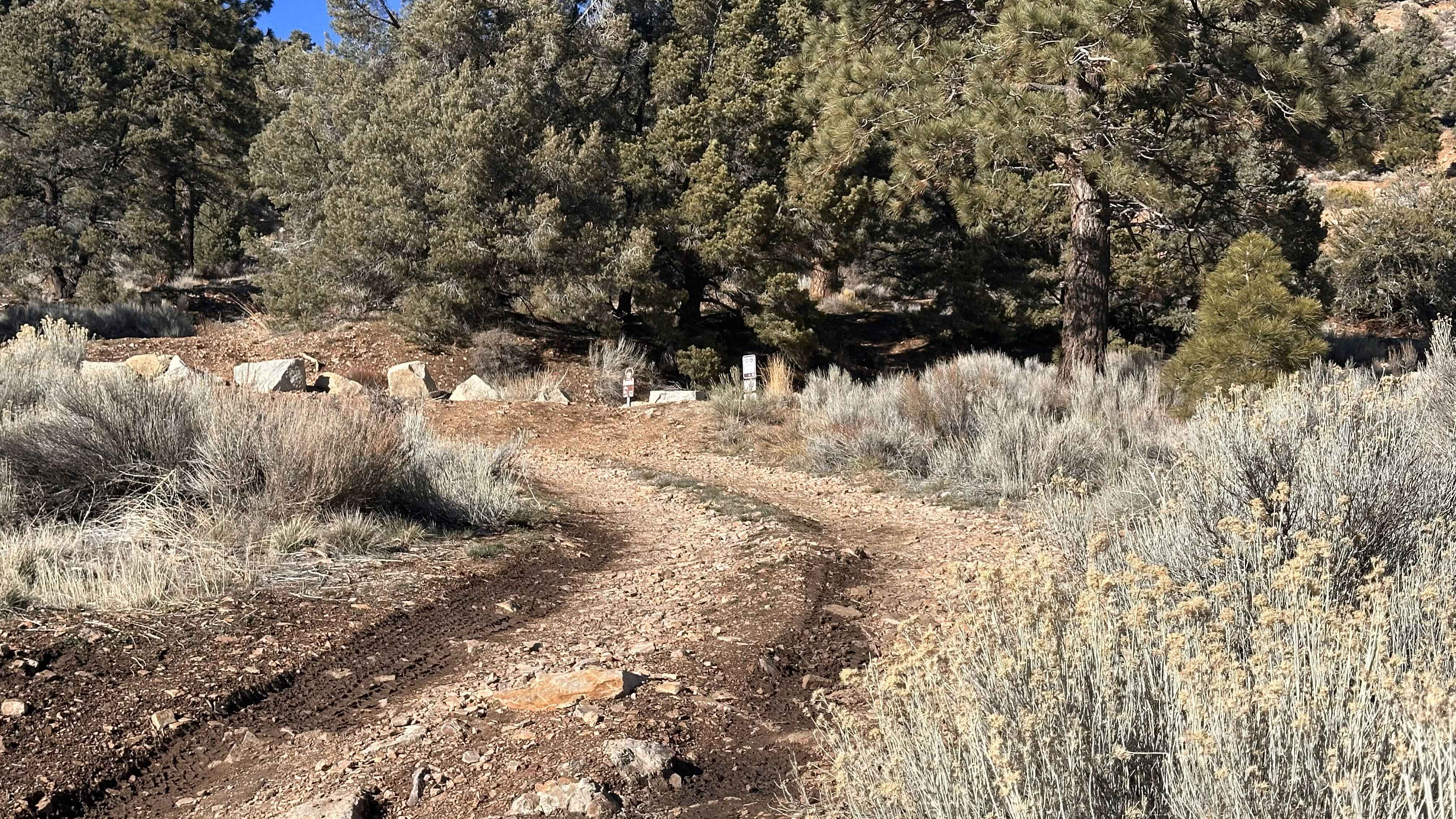 Gold Mountain - FS 3N69