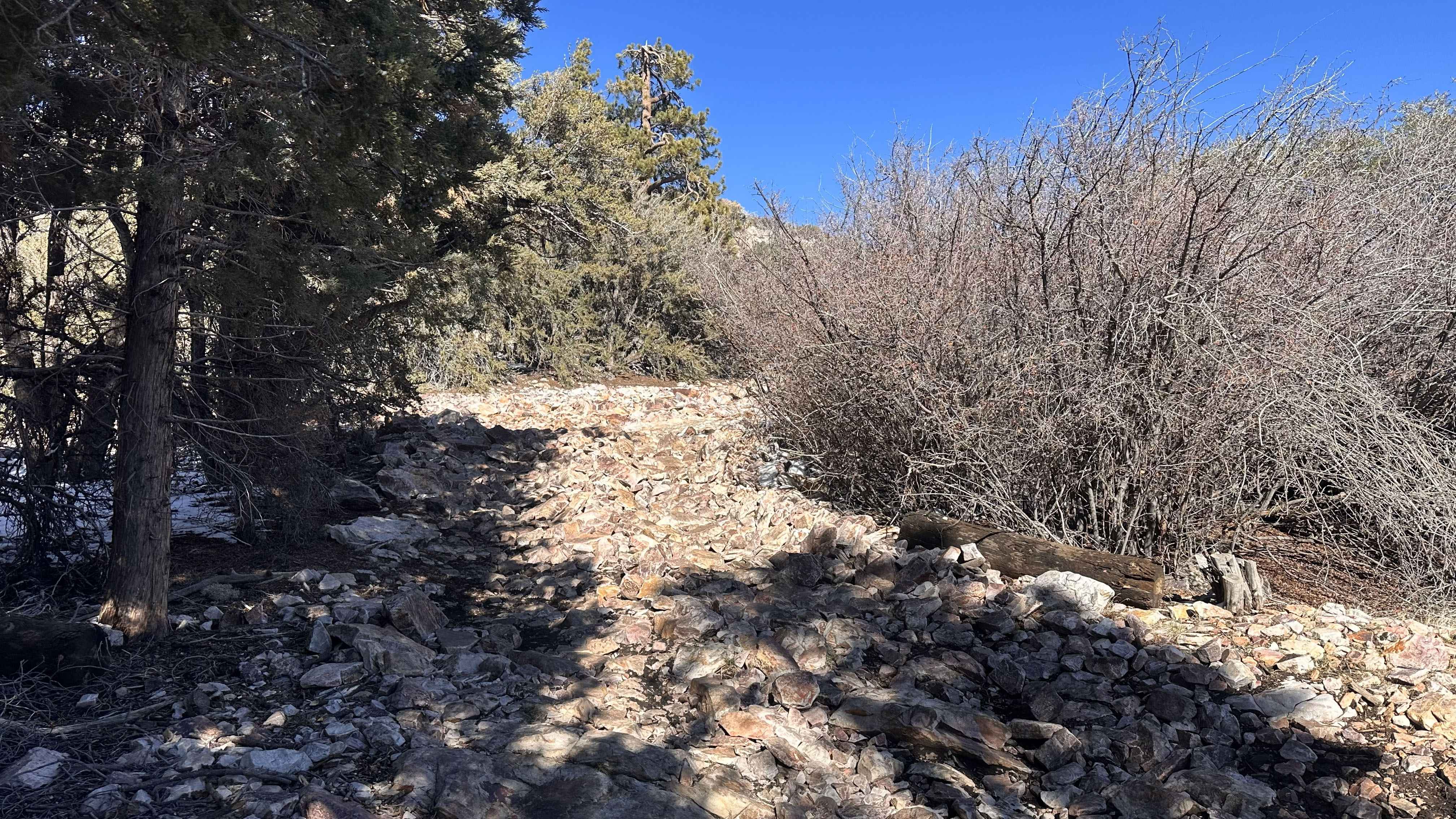 Gold Mountain - FS 3N69