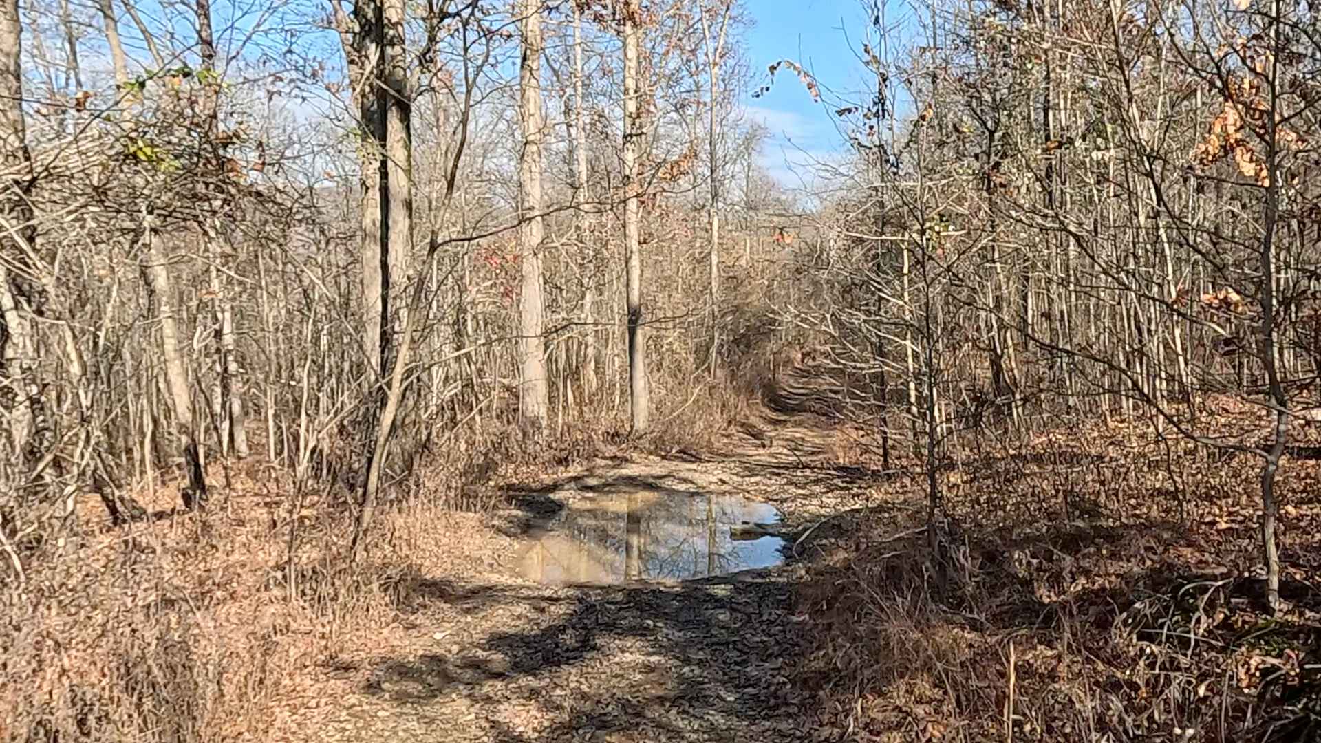 Hanging Rock Hollow Spur - FS 94669
