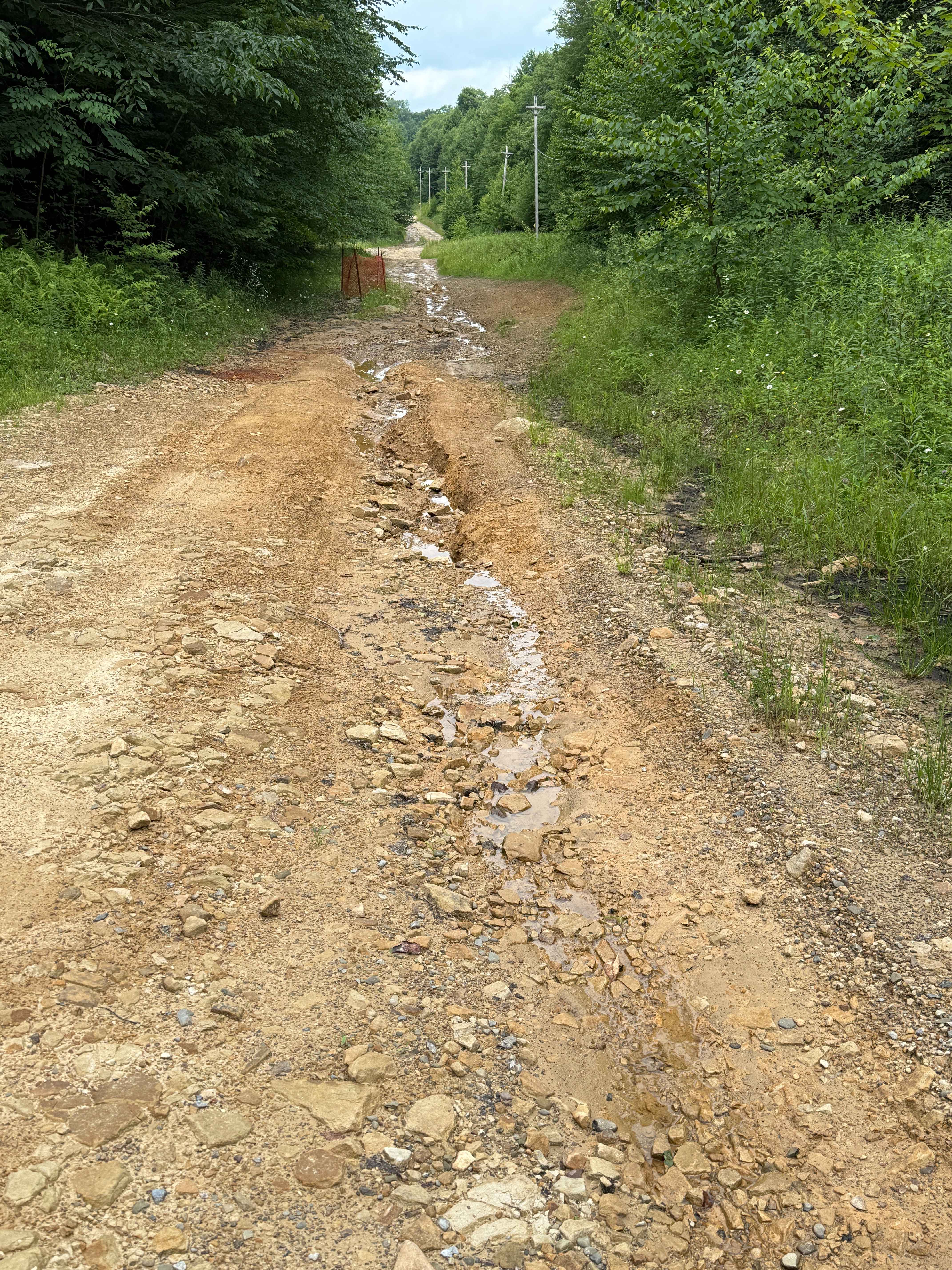 Loleta Grade North - FS 131