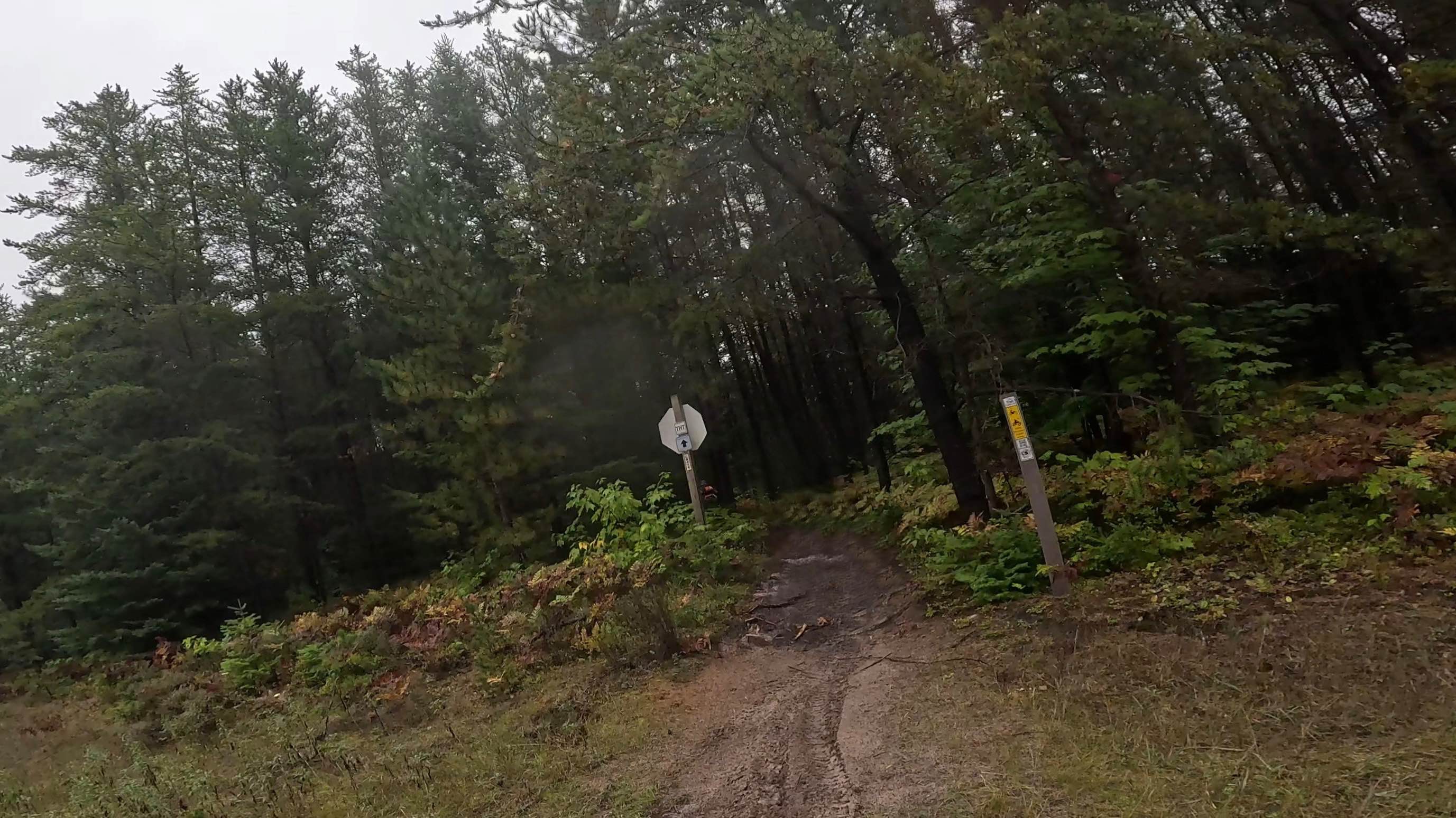 Two Hearted Trail (South)