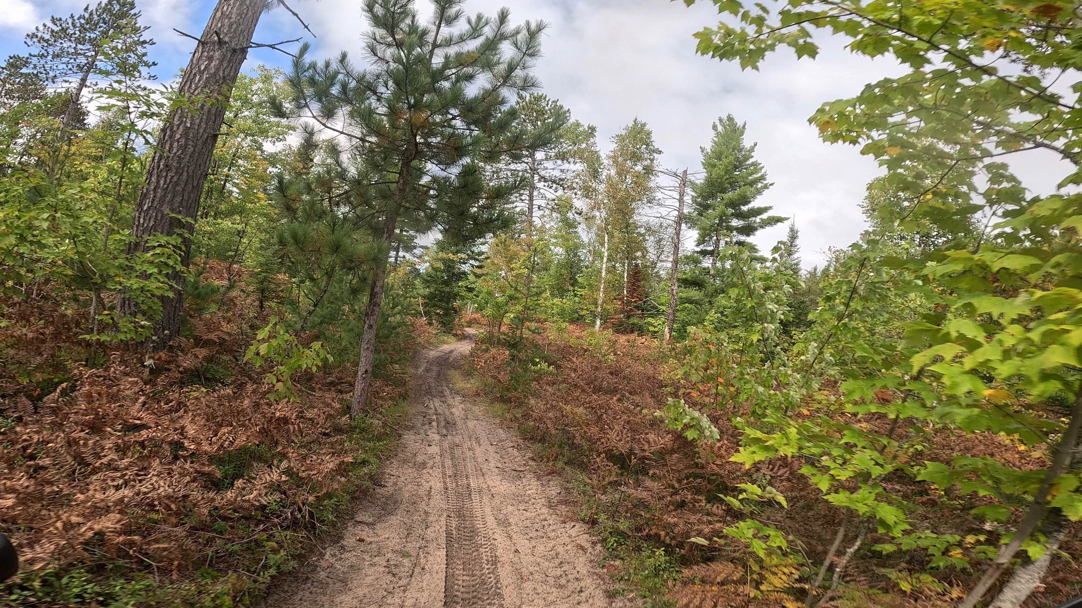 Two Hearted Trail (North)