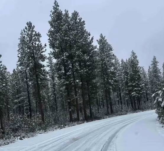 Forest Road 4100-000